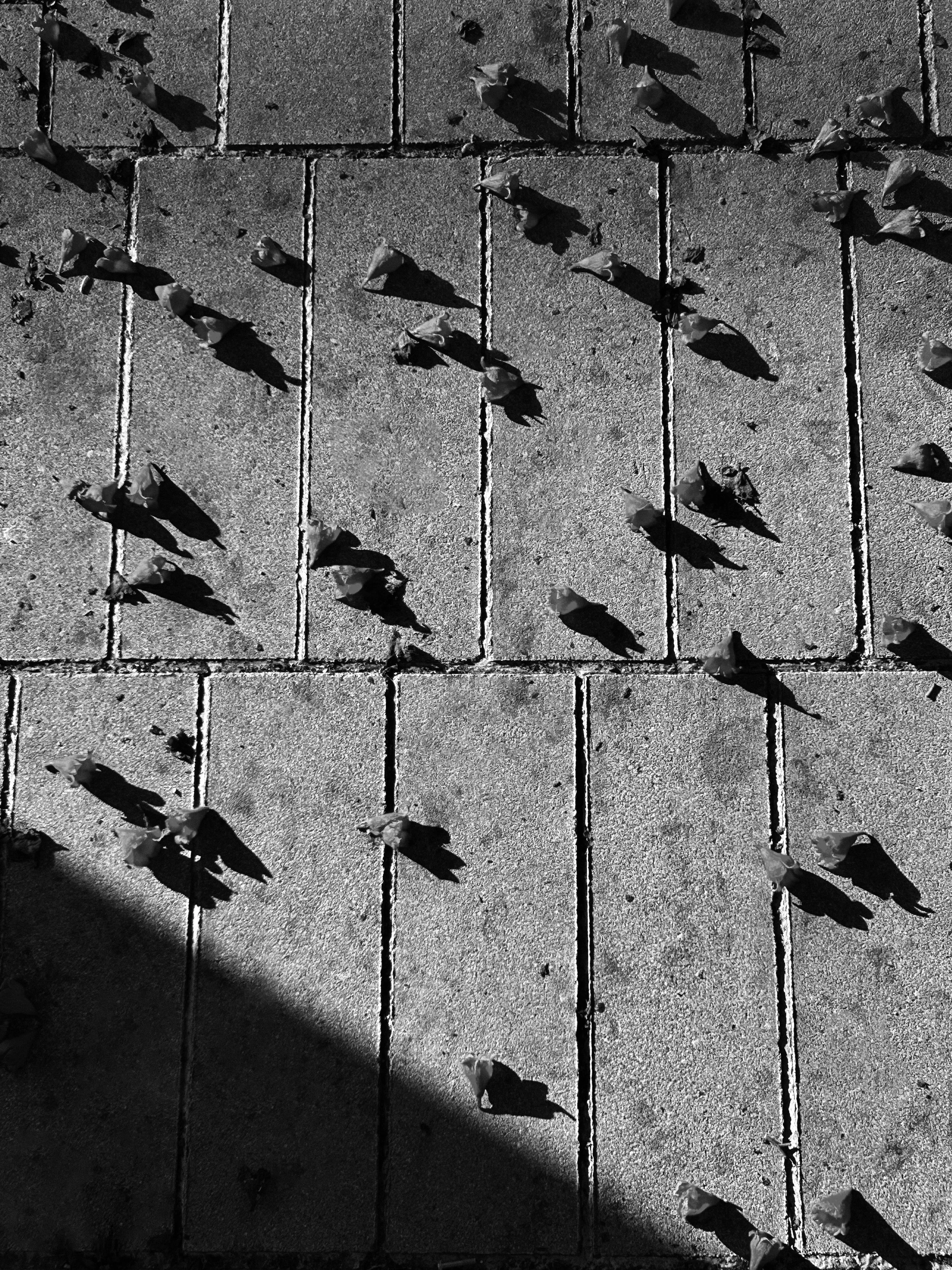 About ends and beginnings