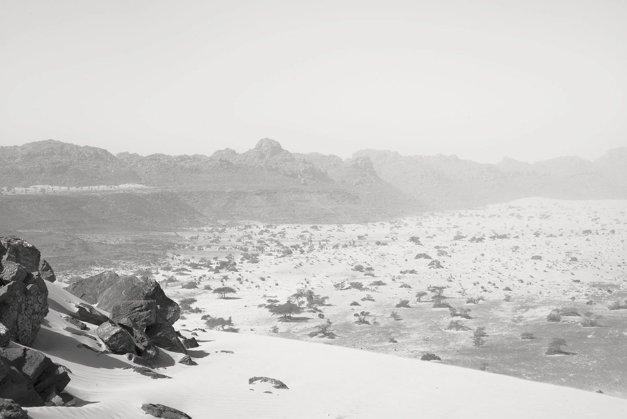 Expansive high-key monochrome landscape showing rocky desert terrain transitioning into a vast, hazy valley with scattered desert trees.