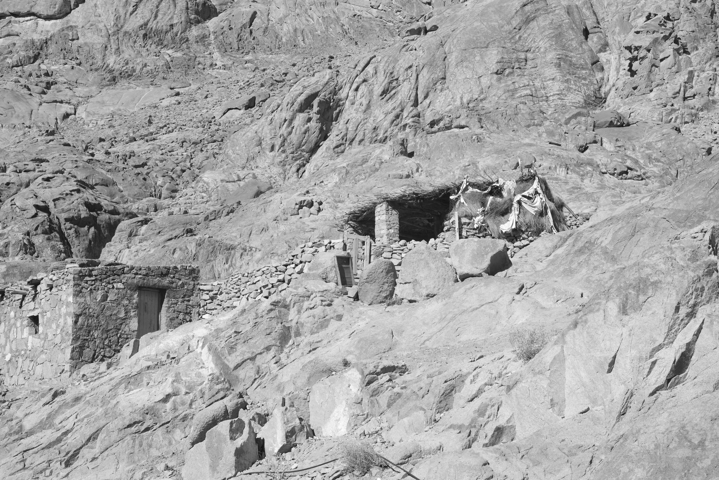 In the Southern Sinai desert near Mount Sinai, a nomadic Bedouin from Egypt's tribal society showcases the enduring Bedouin culture, reflecting a blend of traditional lifestyle and adaptation to modernity amidst ancient trade routes of the Middle Eas