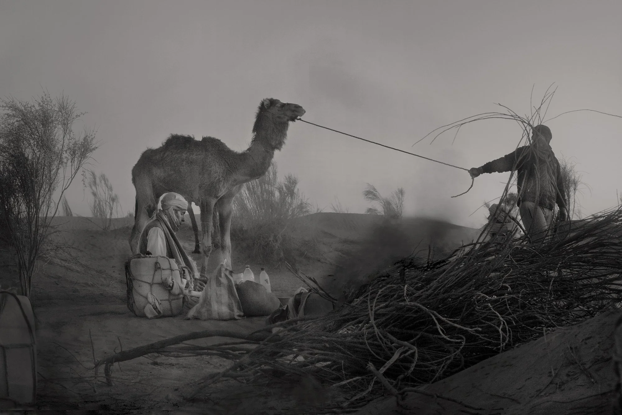 Cinematic black and white scene in a desert at dusk, showing a man leading a camel by a rope near a campfire and brushwood, captured by photographer Isabelle Kettner.