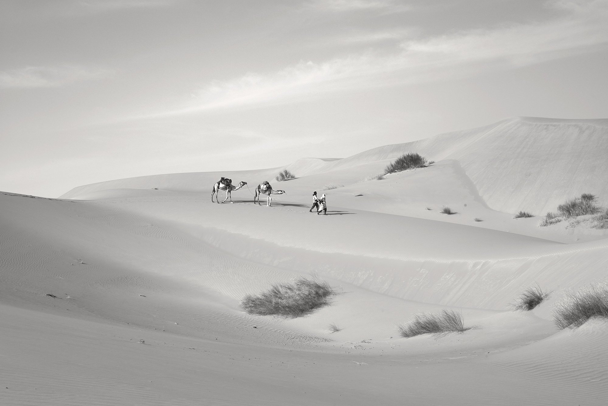 Black and white wide-angle photography of a vast desert landscape with rolling sand dunes, featuring a camel caravan and people walking in the distance under a bright sky.