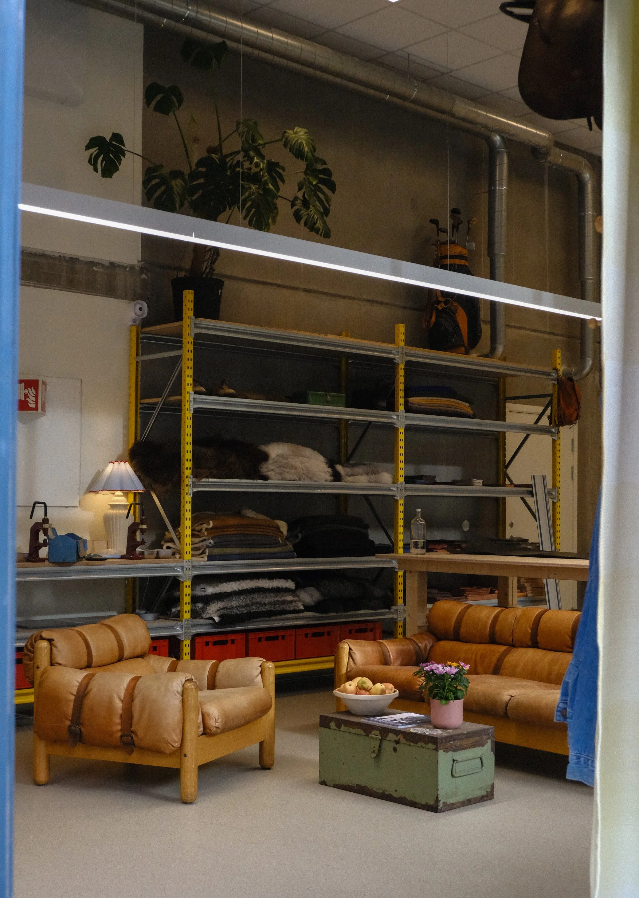 DSCF3227.JPG