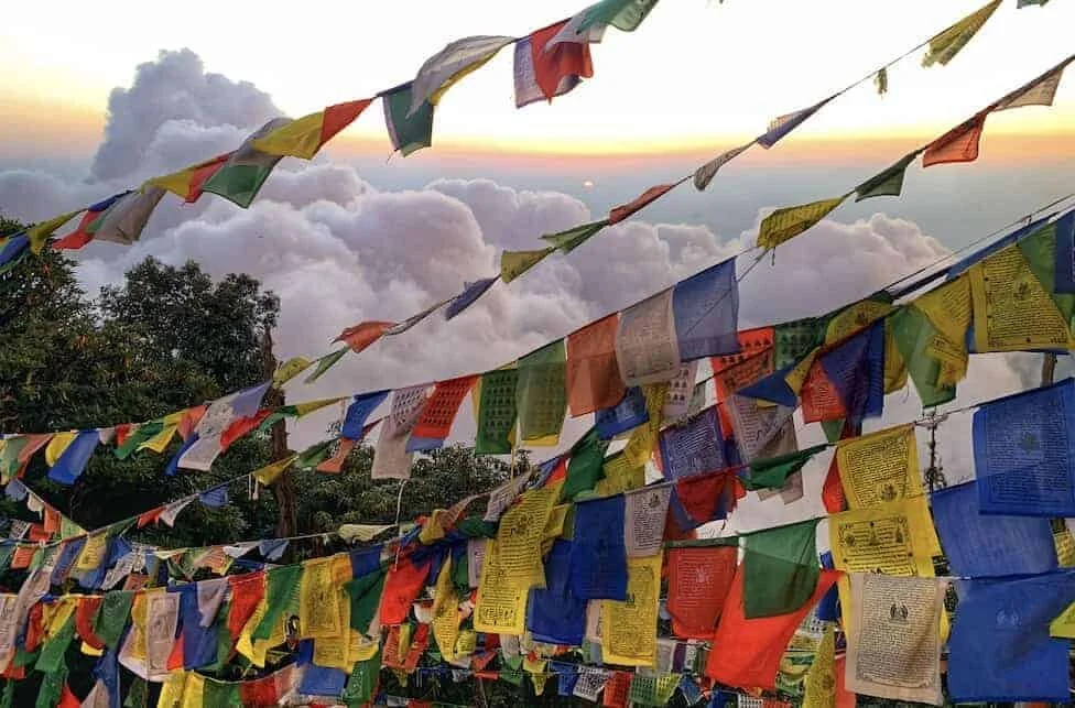 AT Sobo Part 22 - A trip to the Himalayas, healing & back to the AT!