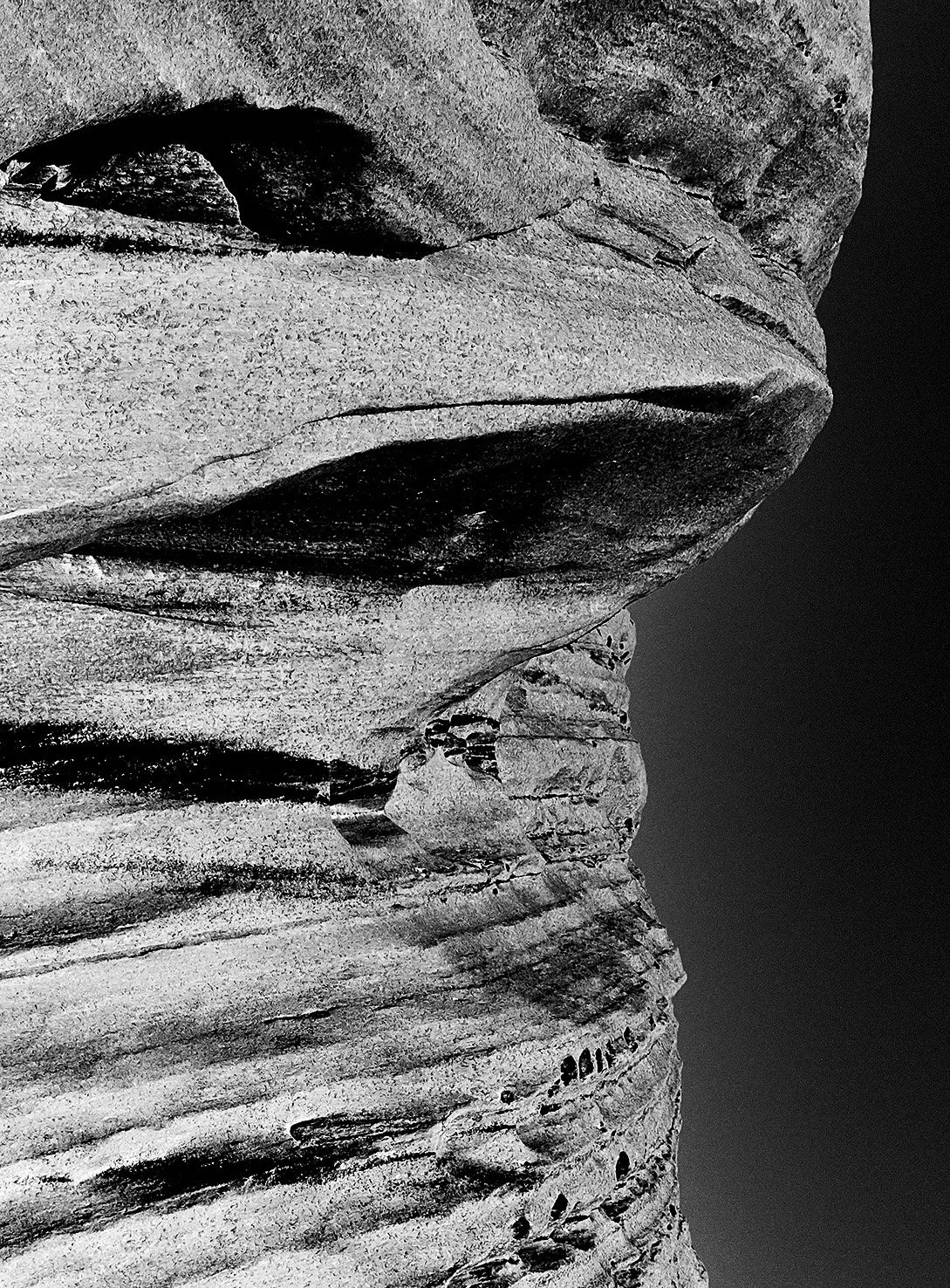RD_Toyo3.jpg