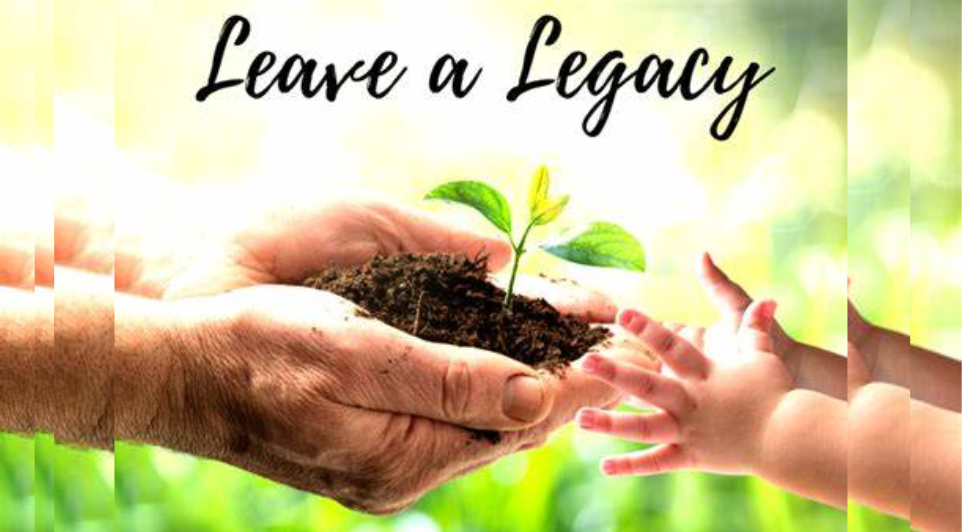 Effects of Having NO Will