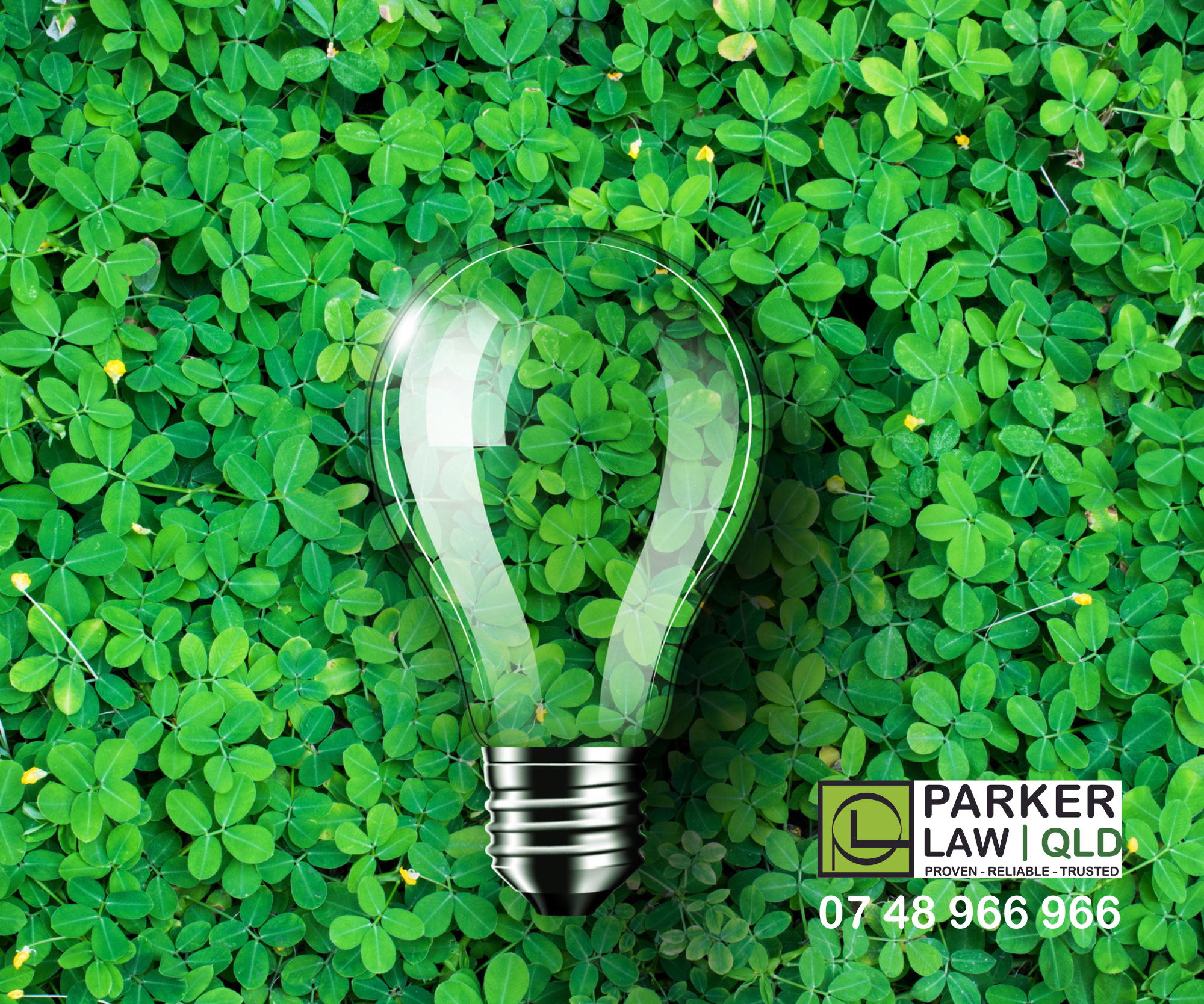 Field Lightbulb (3).png