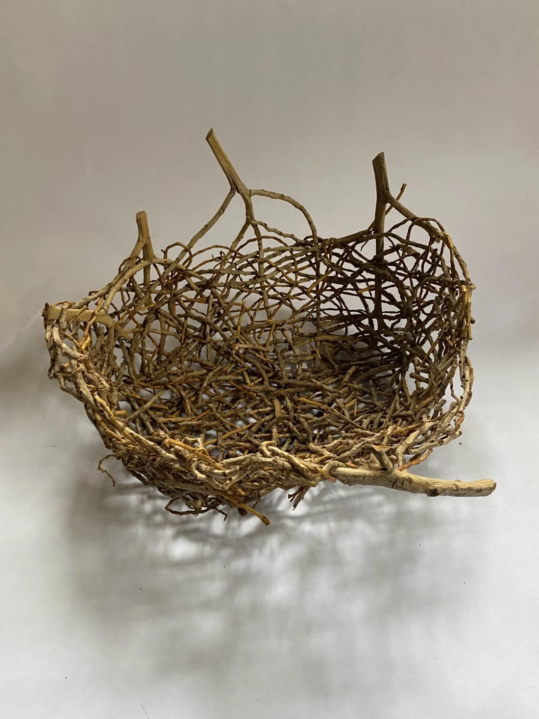 24 palm infloresence random weave.jpg