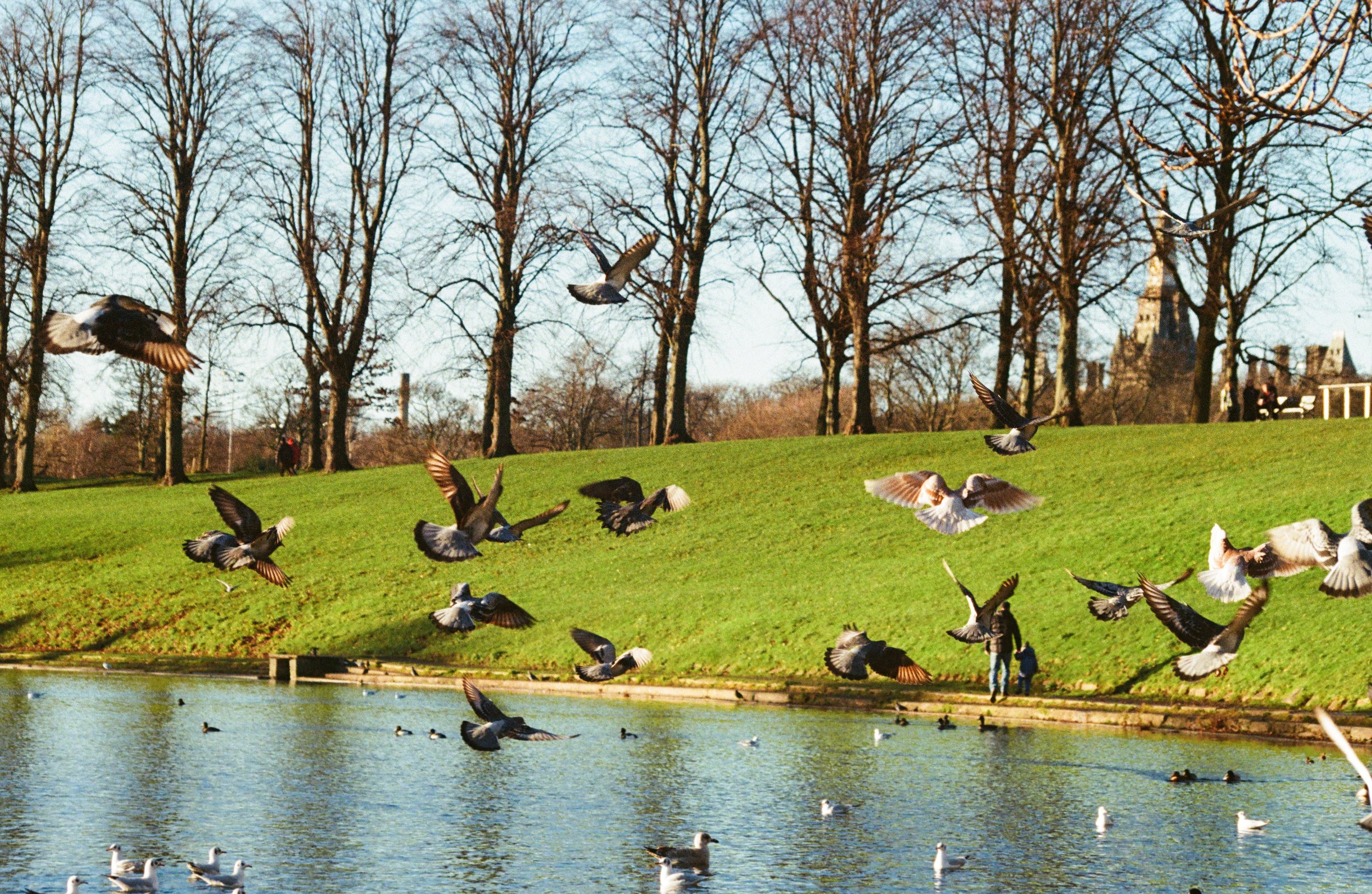 341426920014 (2).jpg