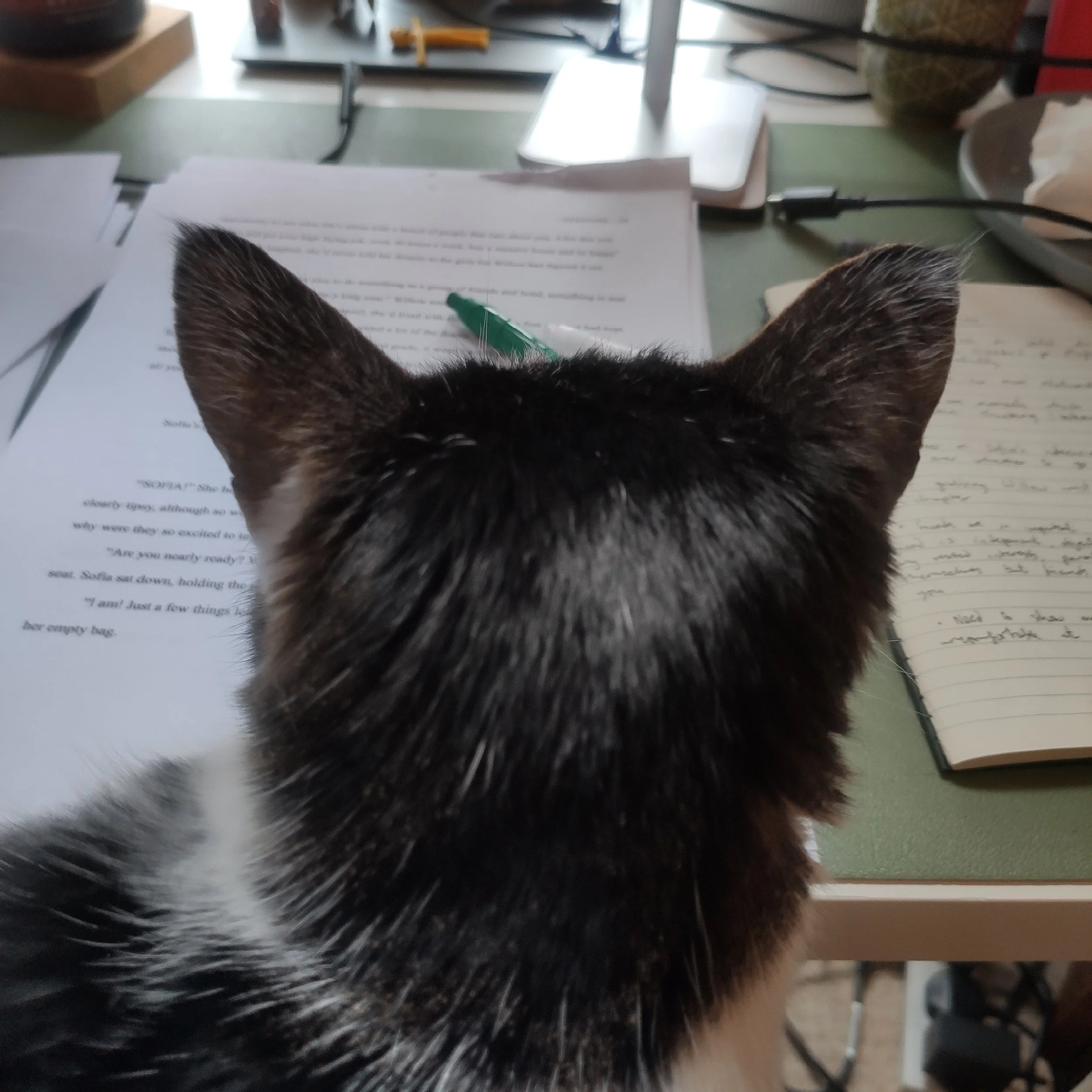 LOOKBACK: April 2024 