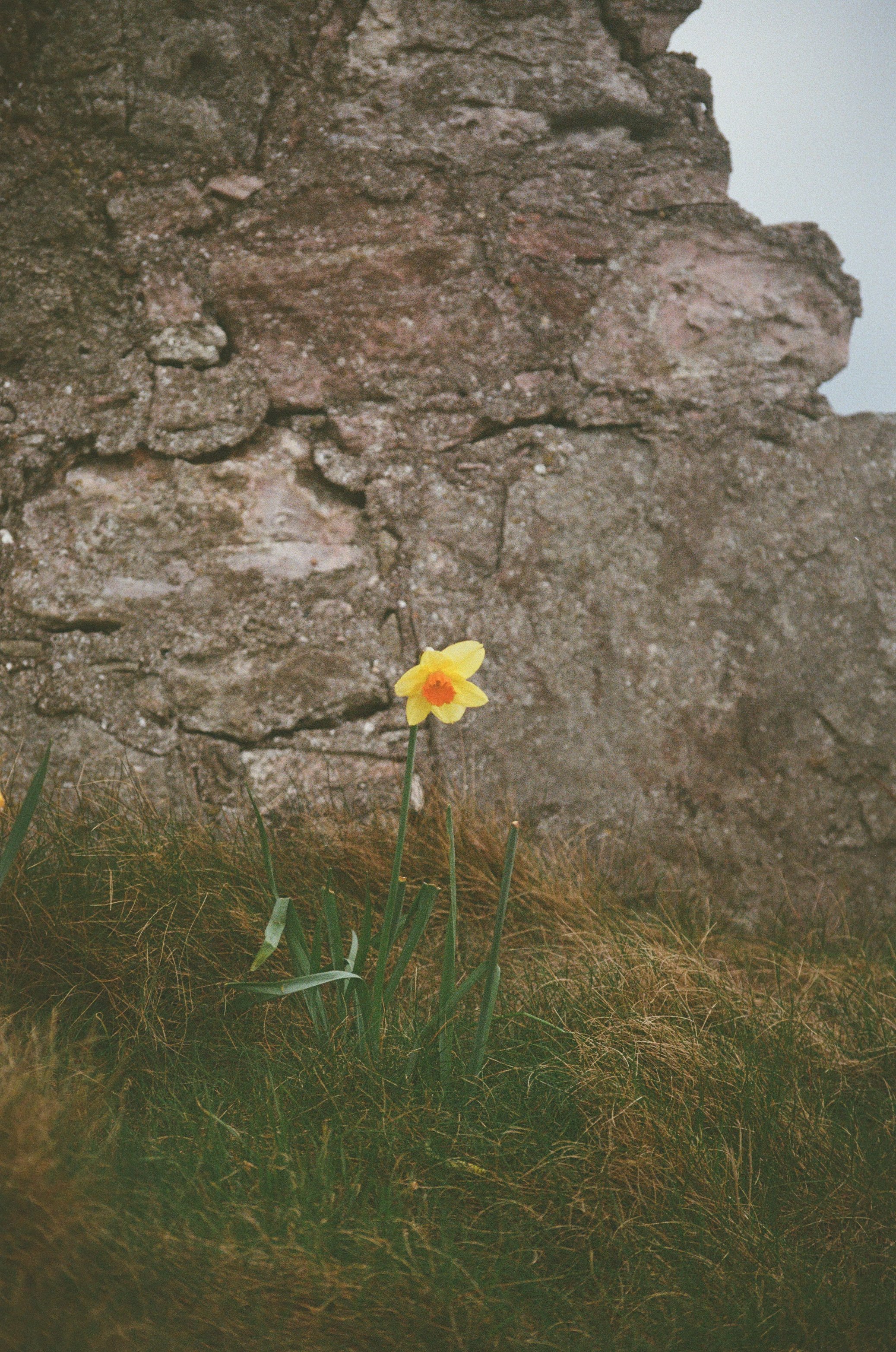 11 - NF90x -  R11 - K400 - East Coast of Scotland - April’2600006.jpg