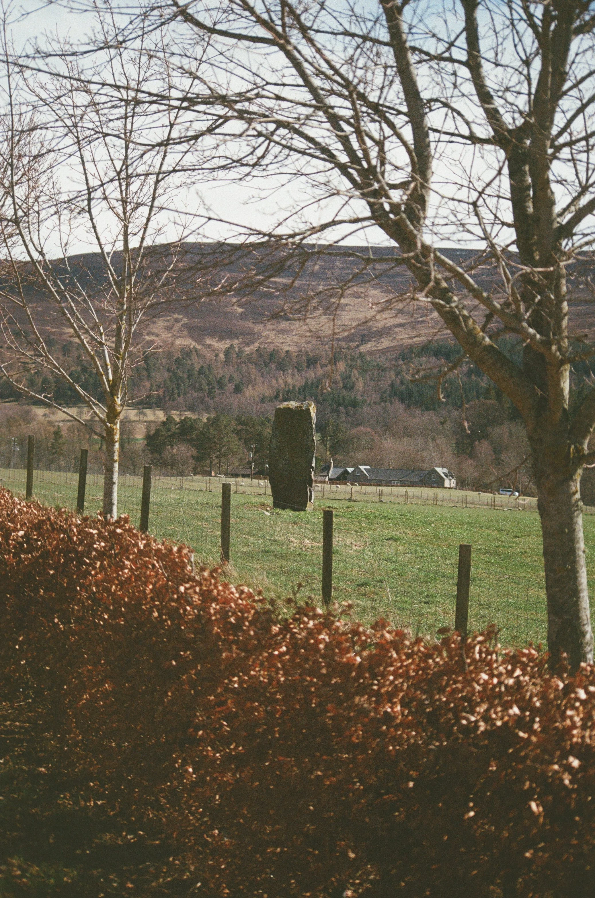 12 - Nikon F90x -  R12 - Kodak Ultra Max 400 - East Coast of Scotland and Edinburgh - April’2600010.jpg