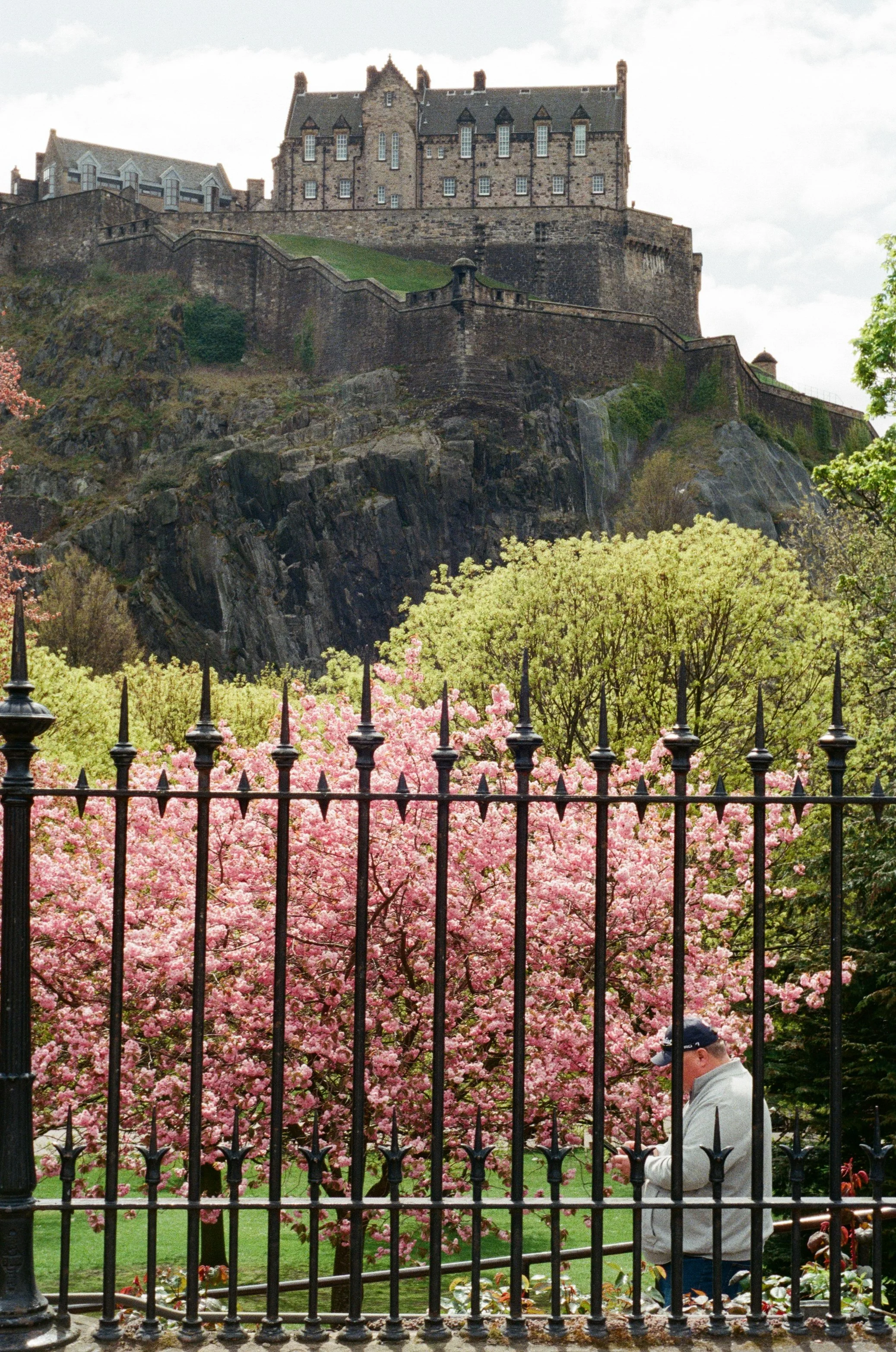 14 - Nikon F90x -  R14- Kodak Ultra Max 400 - Edinburgh + light and shadow + cherry trees - April’2600001.jpg