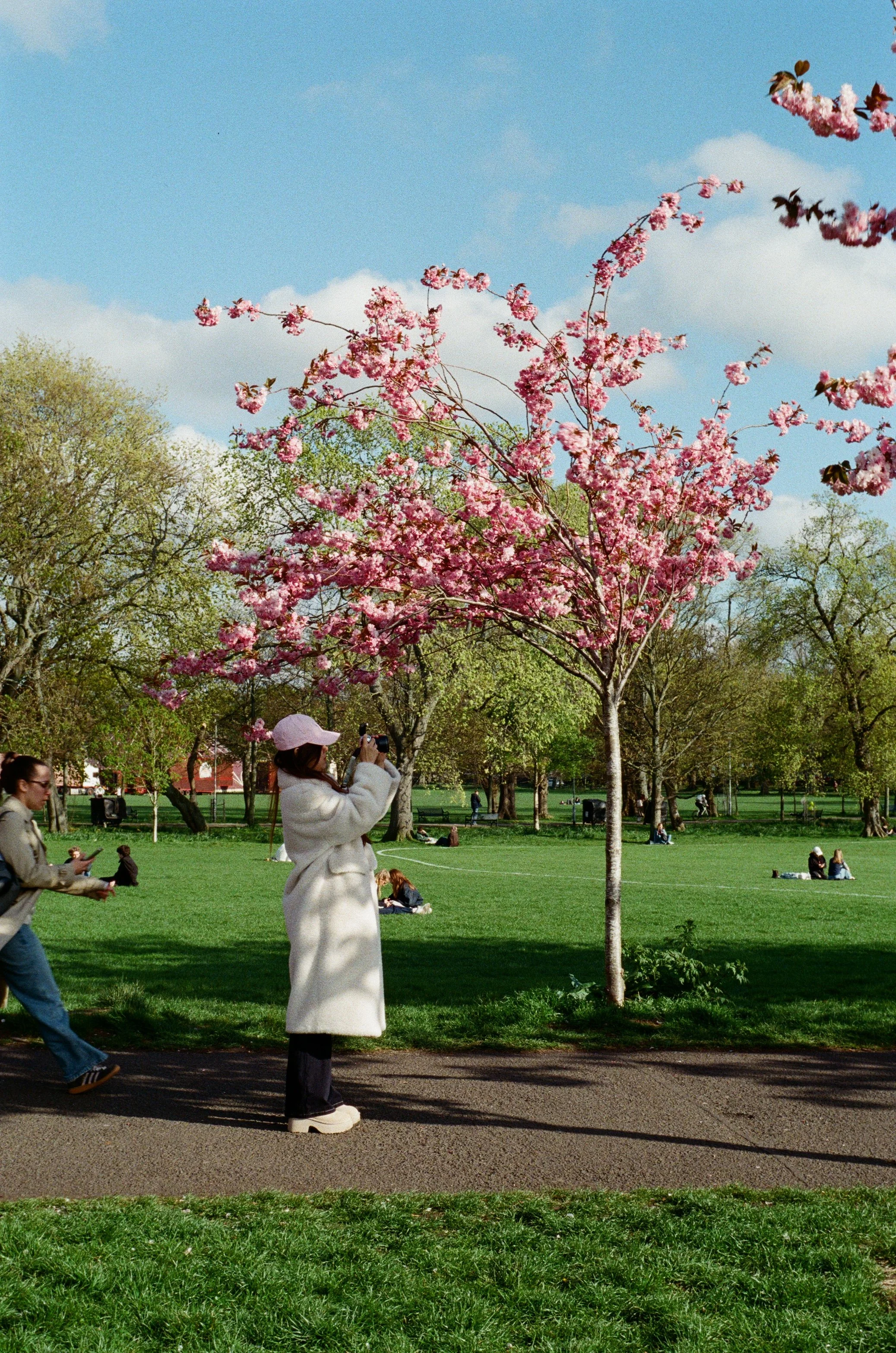 15 - Nikon F90x -  R15 - Kodak Ultra Max 400 - cherry blossoms in the meadows - April’2600002.jpg