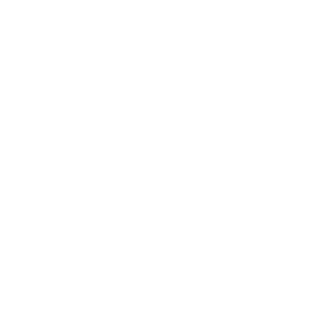 Line art icon of a lightning bolt inside a circle with speed lines to the left, representing fast electricity or power.