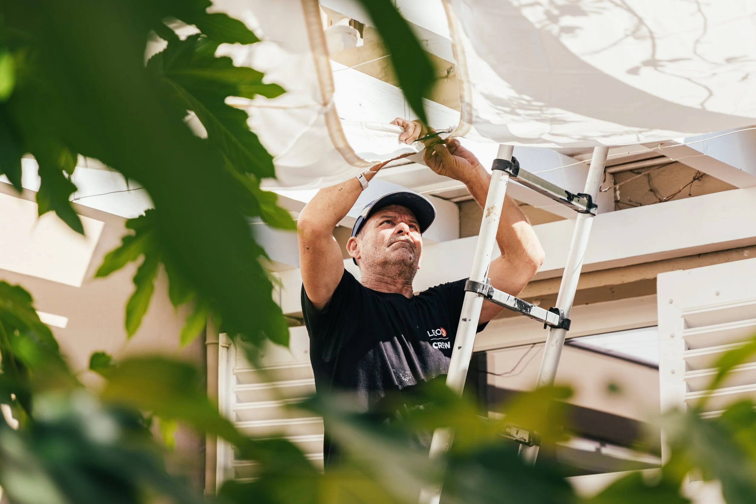 A man standing on a ladder, working on the exterior of a building, surrounded by green plant leaves.