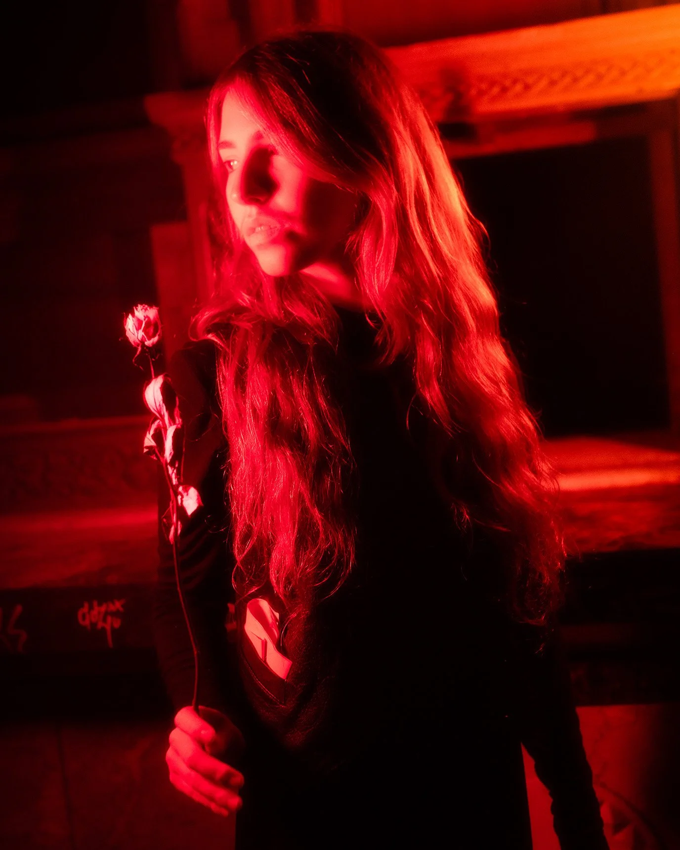 Locatie Portret Rood Licht Met Roos