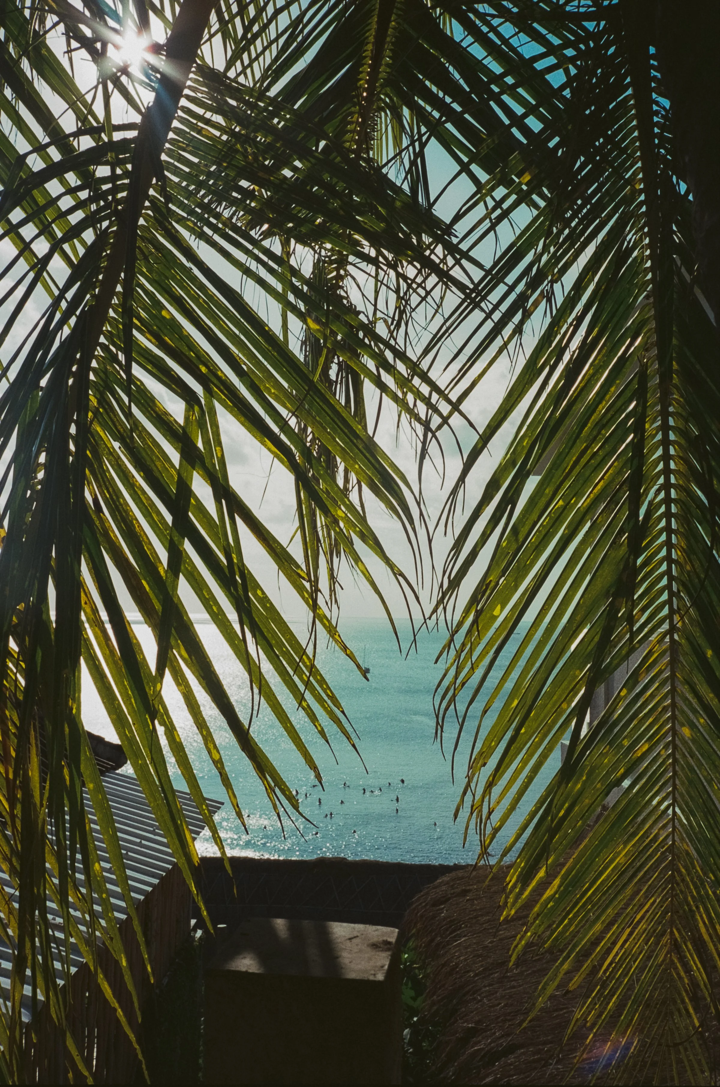 SYDNEY SUNSET-45.jpeg