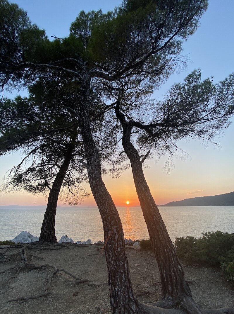 Skopelos-3Trees.sm.jpg