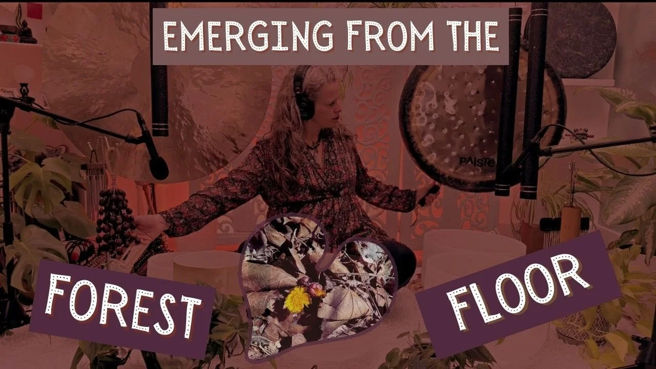 Episode 11: Emerging from the Forest Floor