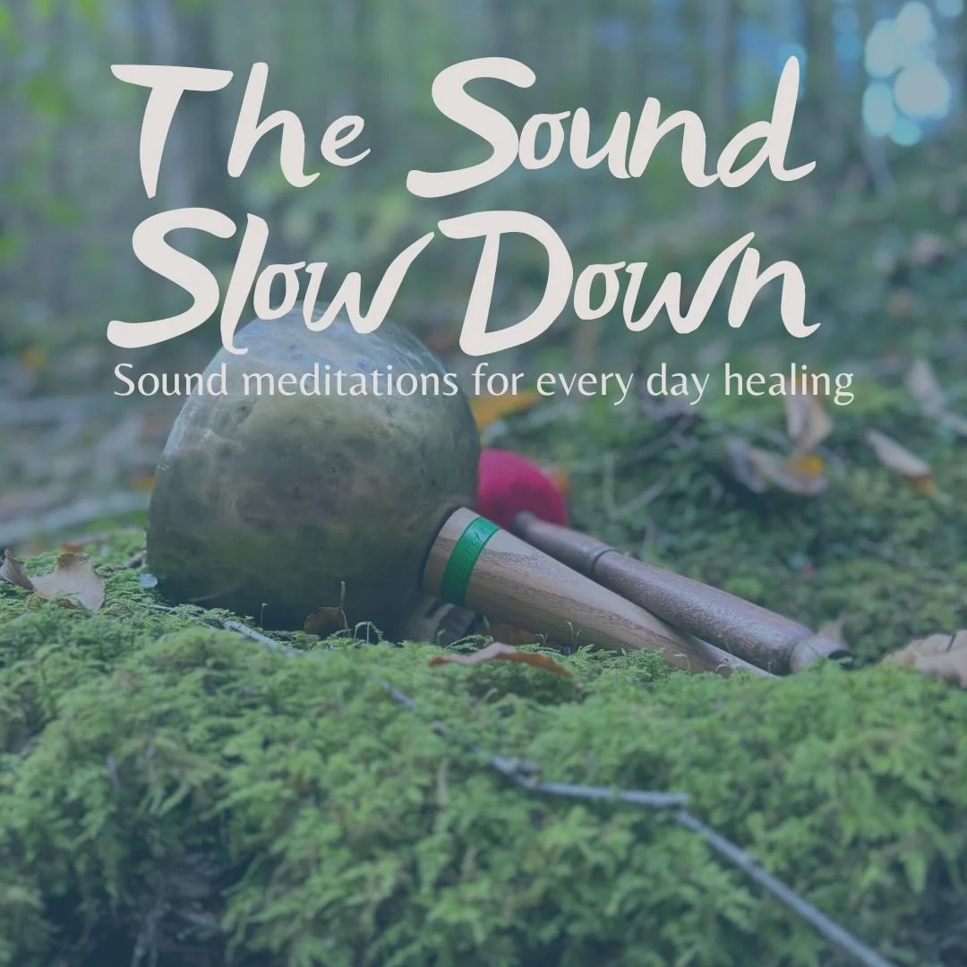 Photo of a metal singing bowl on a stick laying on a mossy forest floor