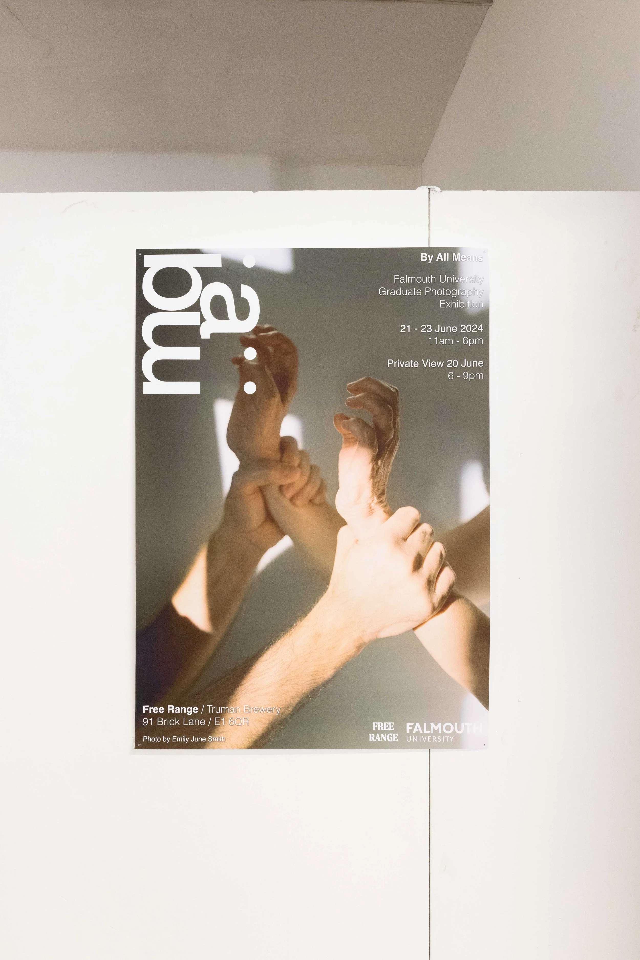 emilyjunesmith_exhibition.jpg