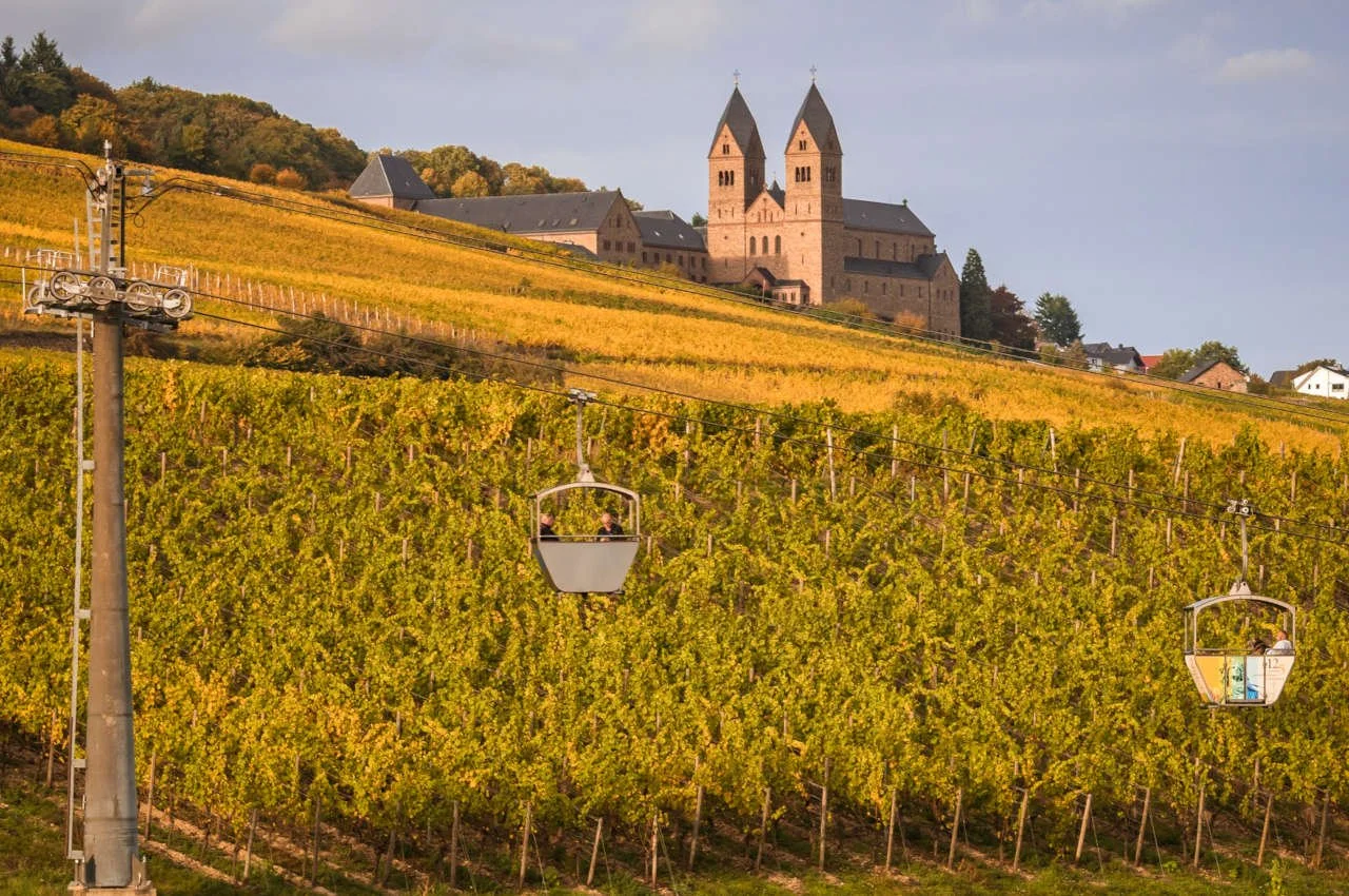 Panorama über die Weinberge. Seilbahngoldenln im Vordergrund und Kloster Hildegardis im Hintergrund