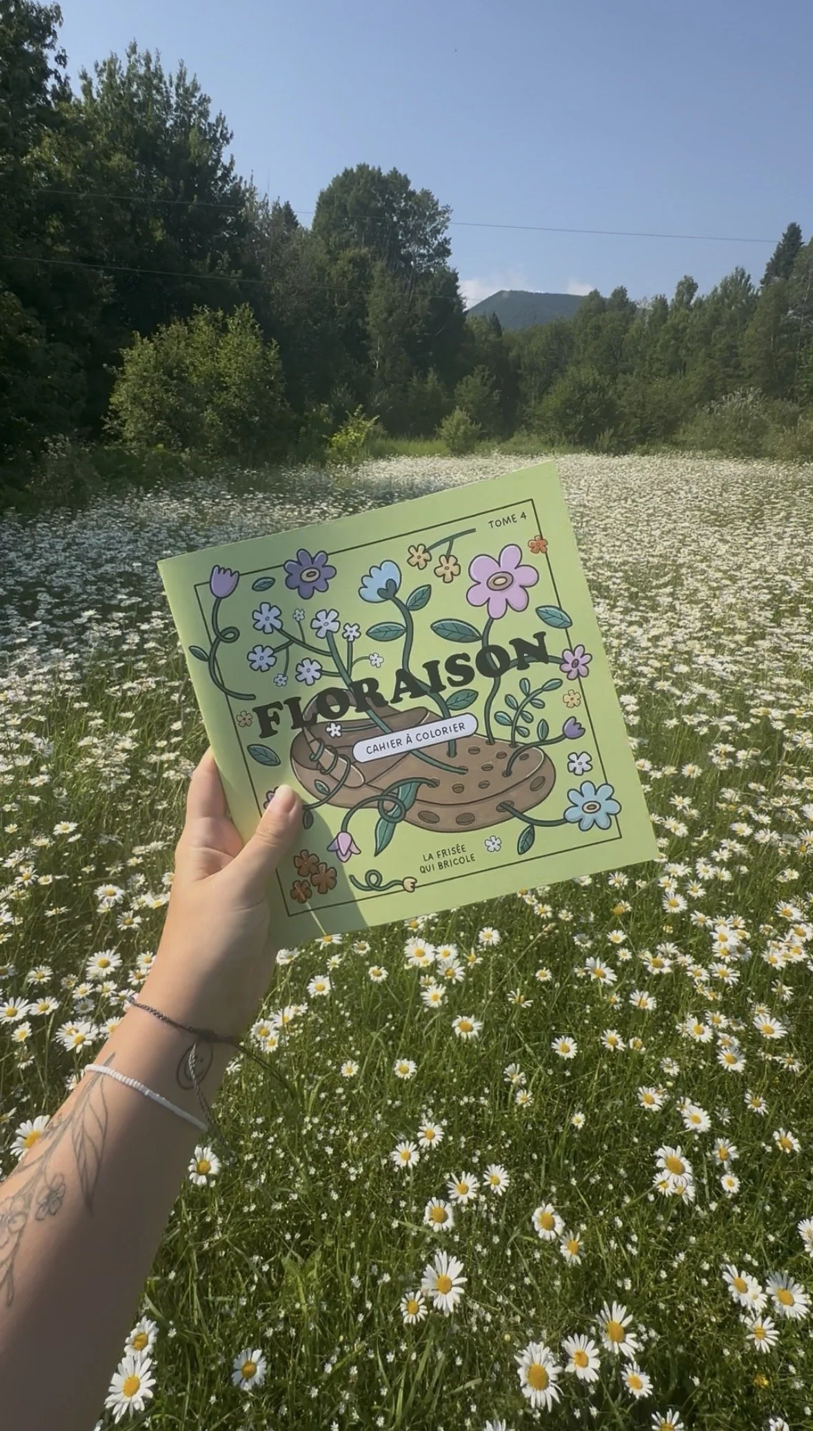 NOUVEAU - Cahier à colorier - Tome 4 - Floraison