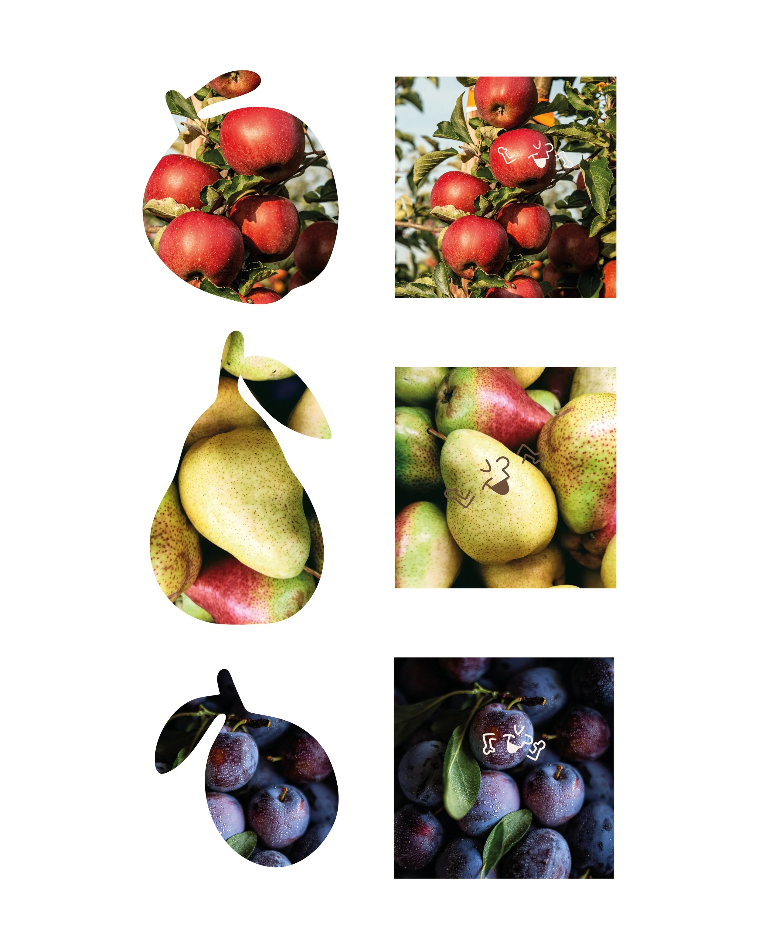 devoilement_publication_vf9.jpg