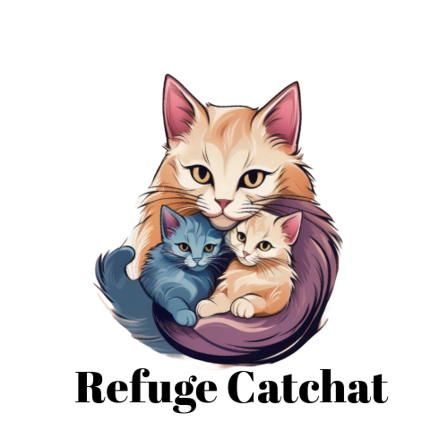 Catchat Catchat Refuge