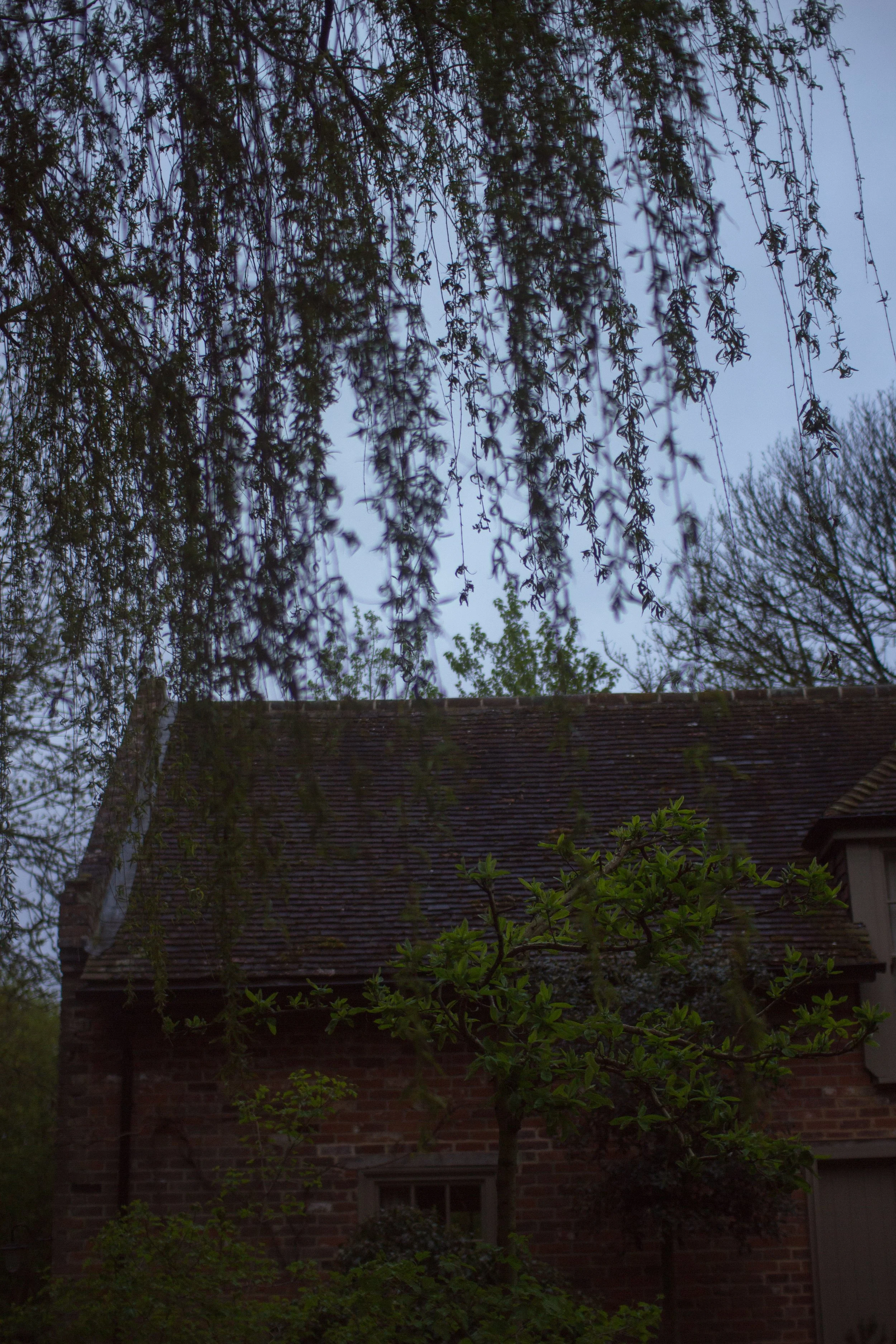 6AM-SCENERY-4.jpg