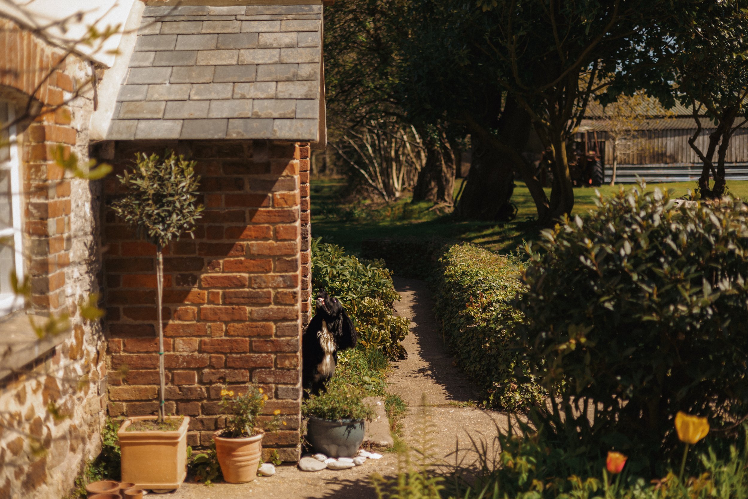 SOMERSET FOR FARMHOUSE