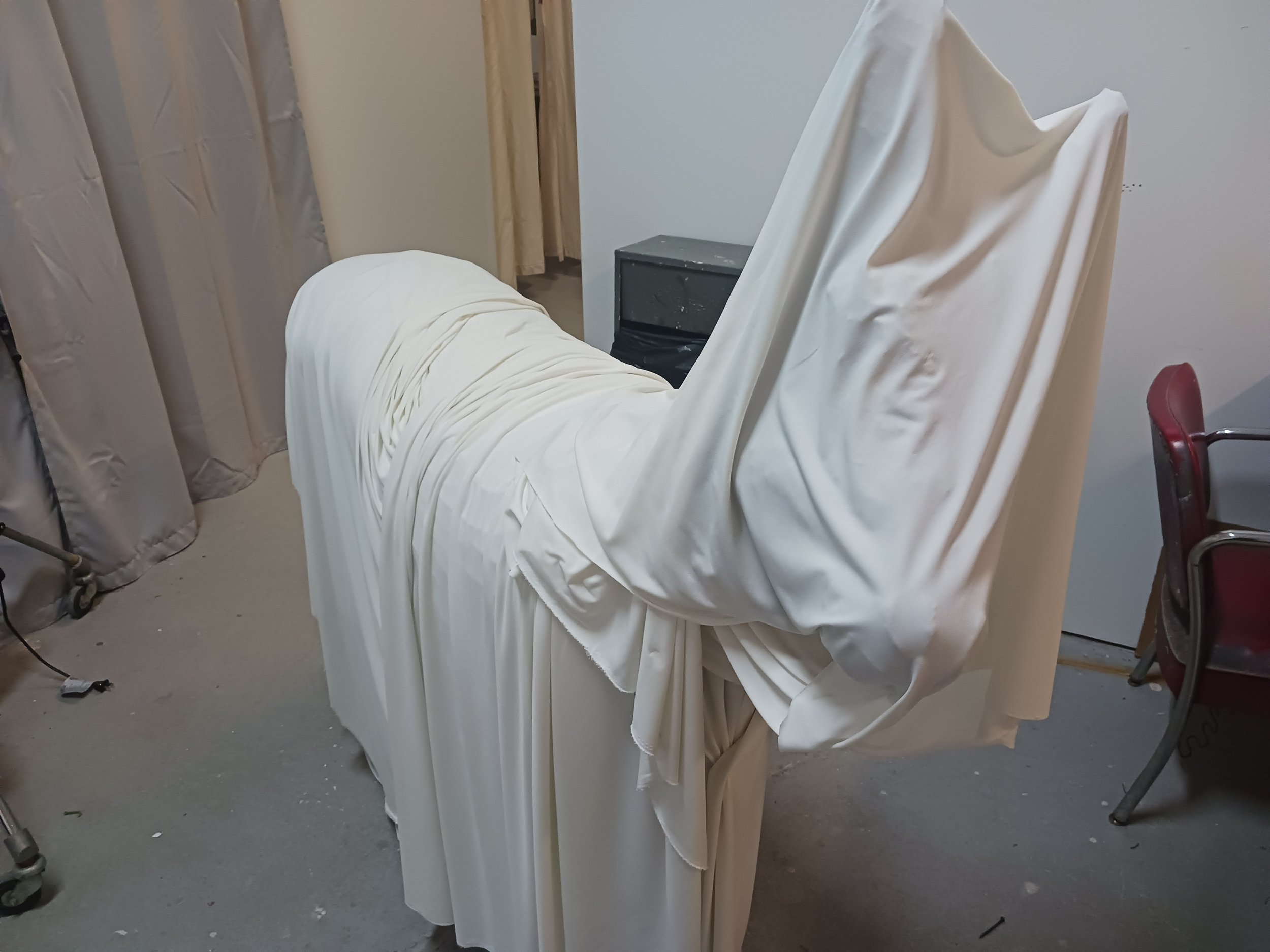 Détail âne fantôme