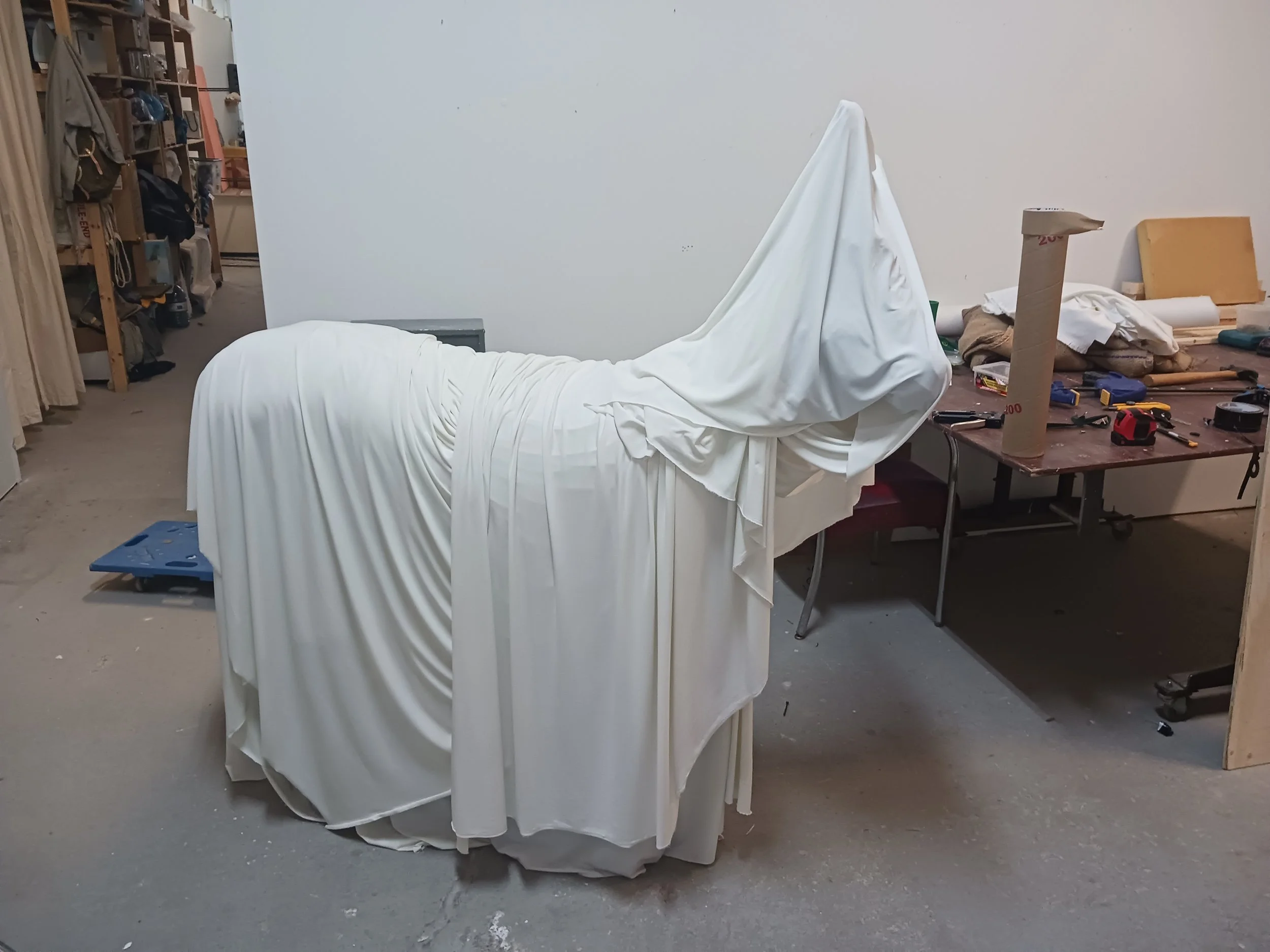 Détail âne fantôme