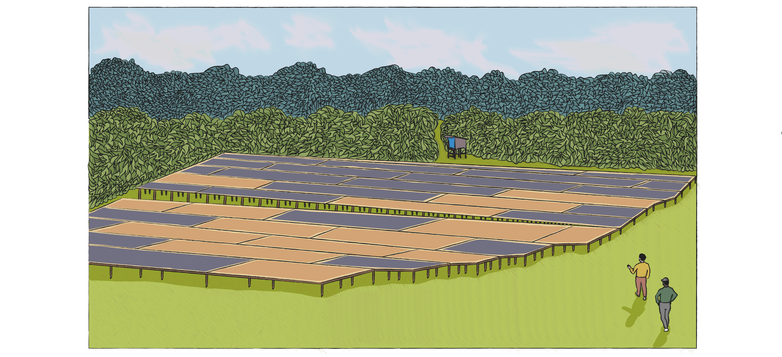 widddde landscape illustration.png