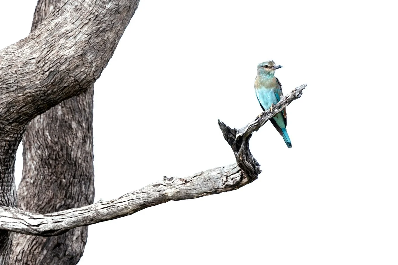 Some shots from the past few months with @bushwise.sa that deserve to be seen in landscape. 
Already semester 3 is drawing to an end, before we know it we will all be graduating. The amount of information my brain is able to retain has surprised me, 