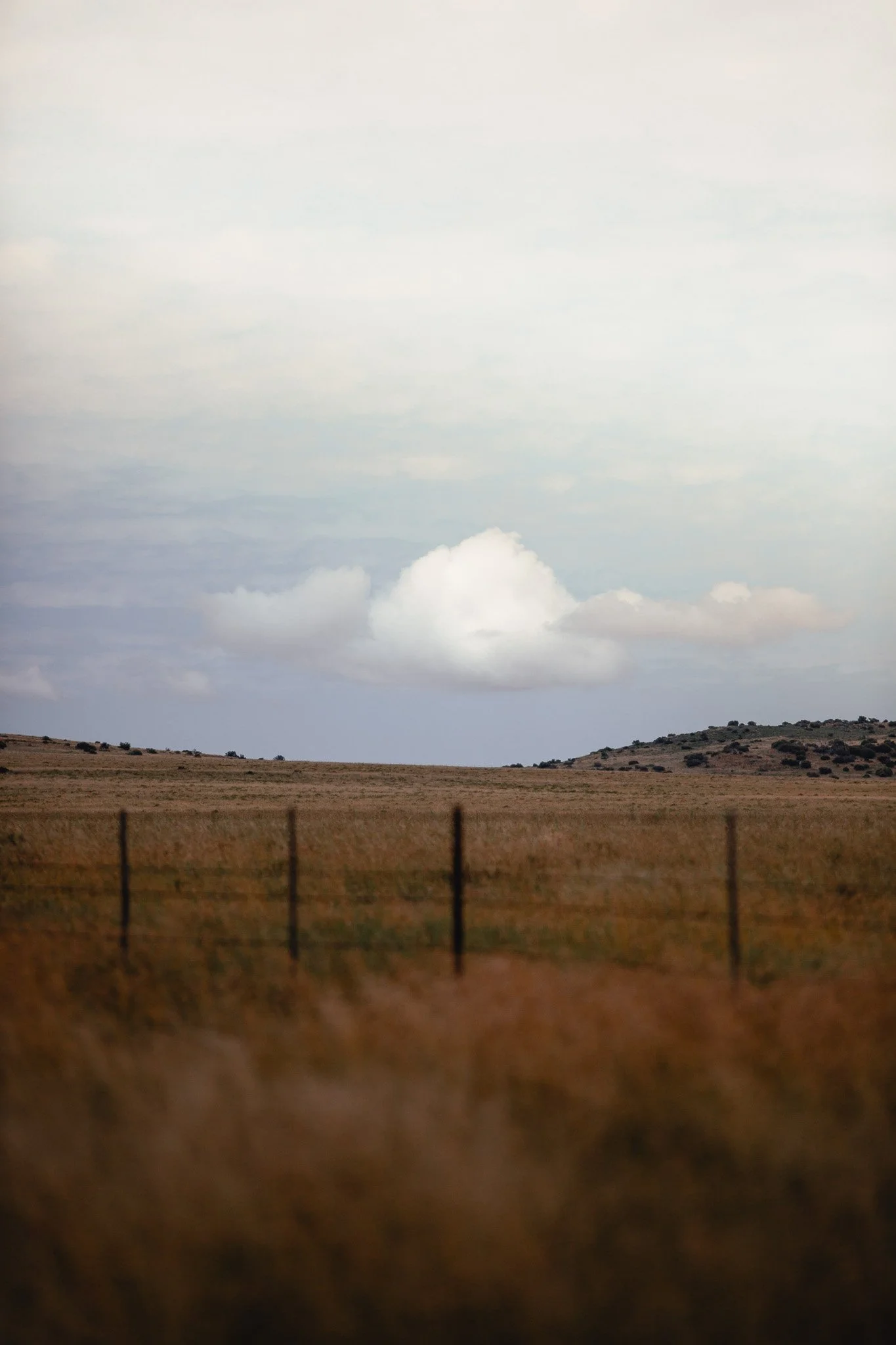 092A0939.jpg