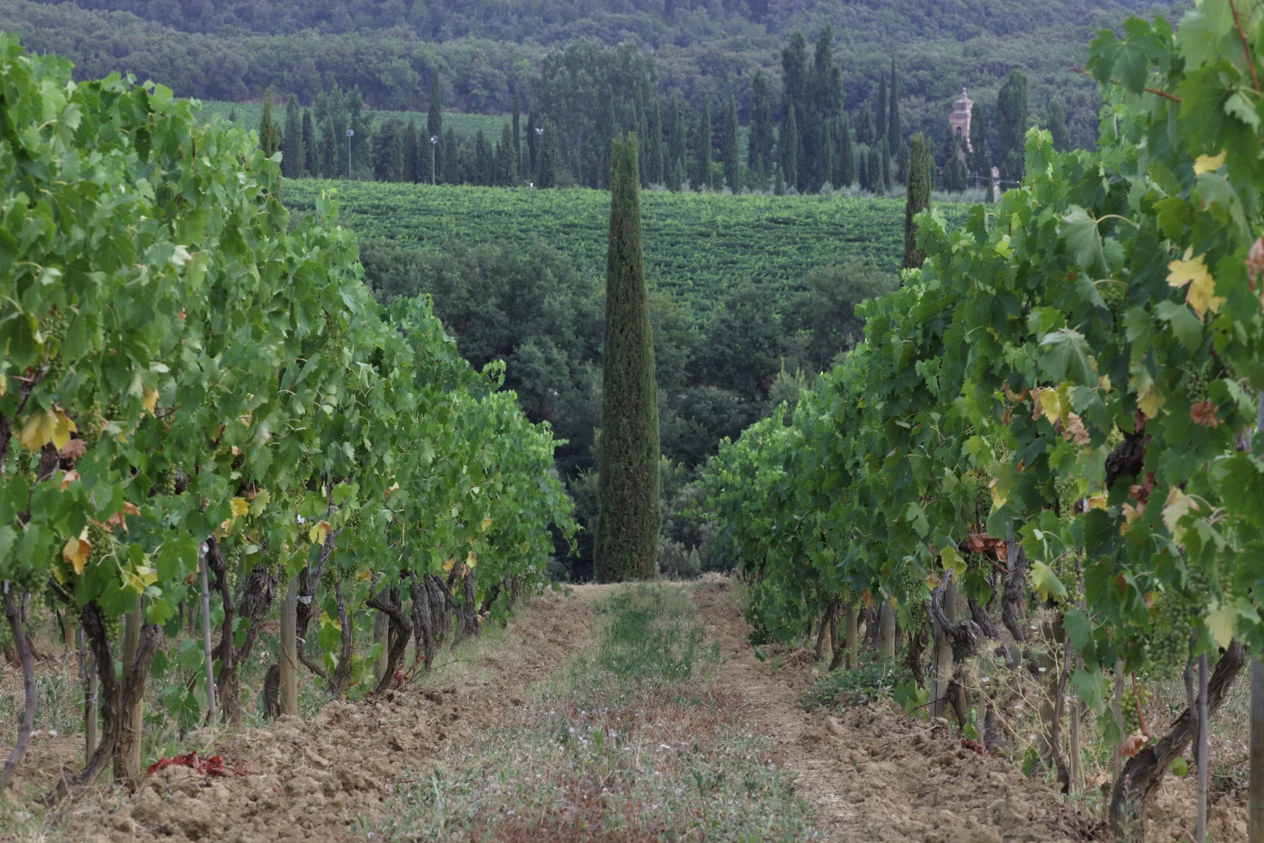 Caprili 2015 (72).JPG