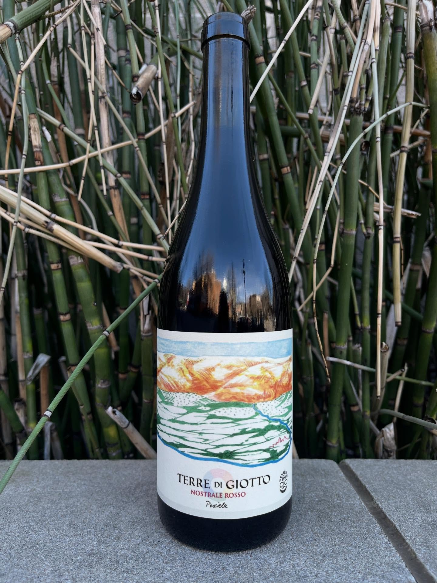 Our portfolio has grown considerably in the last four years, particularly with our selections from France. Today we want to spotlight a wine and grower that has provided us with such profound and delicious wines, @terredigiotto and @michele_lorenzett