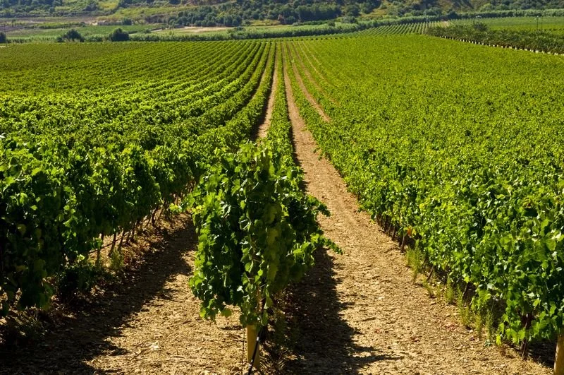 2013-02-12 09.08.20.jpg