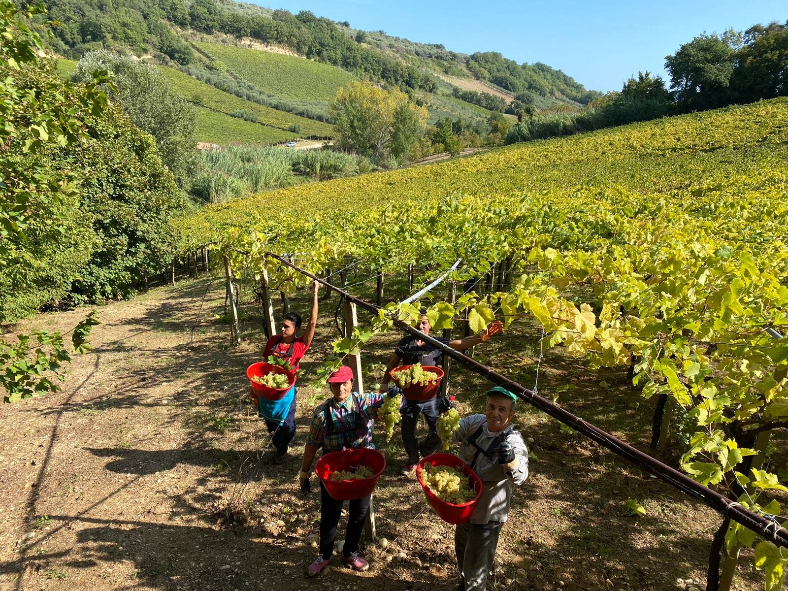 WhatsApp Image 2020-10-10 at 09.01.22.jpeg