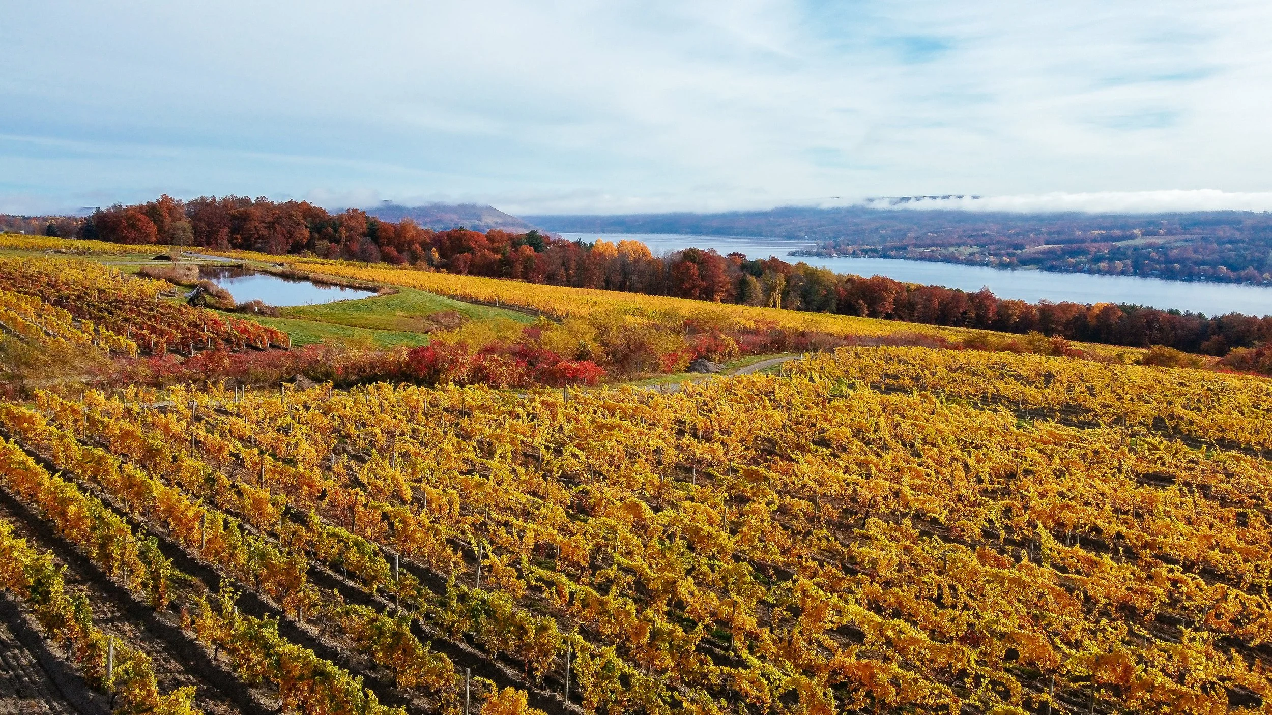Fall On Keuka Lake 2022.jpg