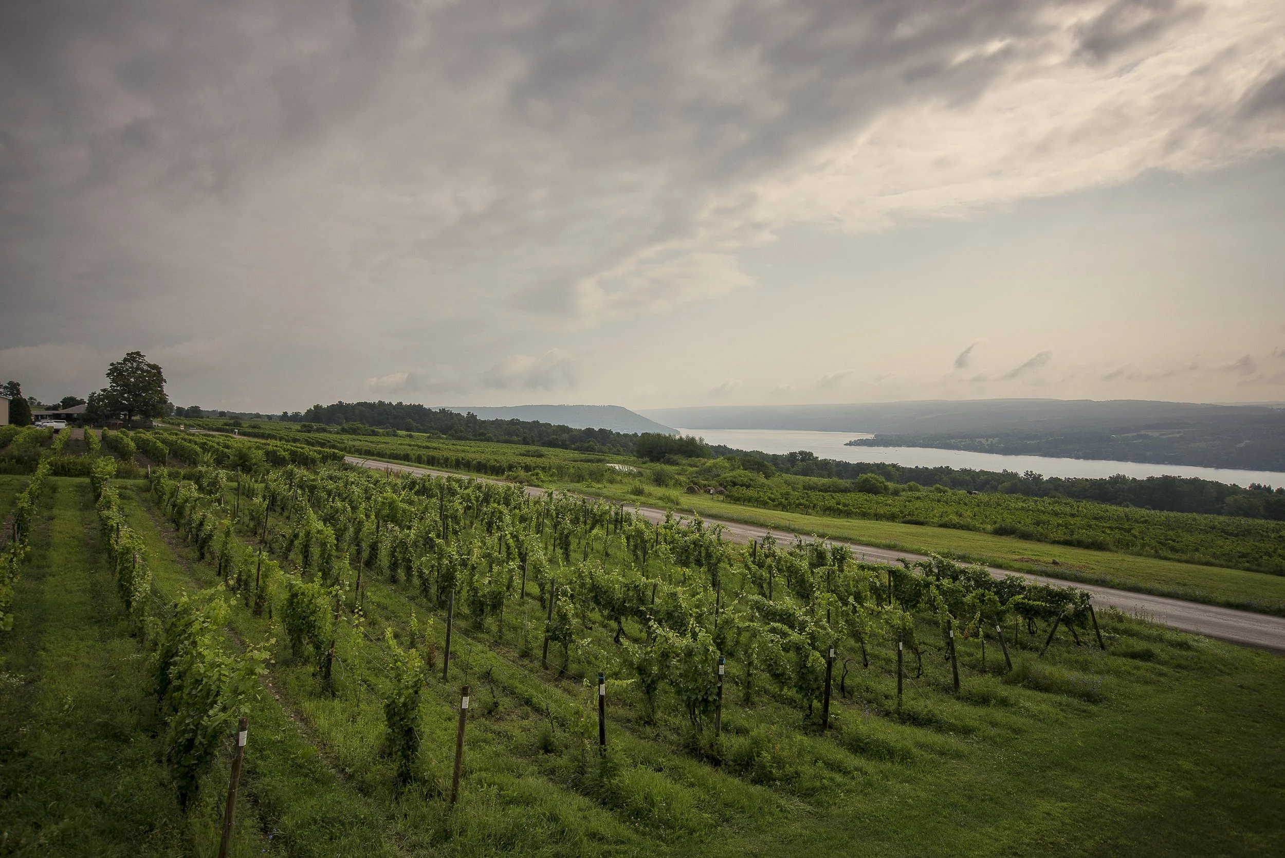 Color View from Chateau.jpg