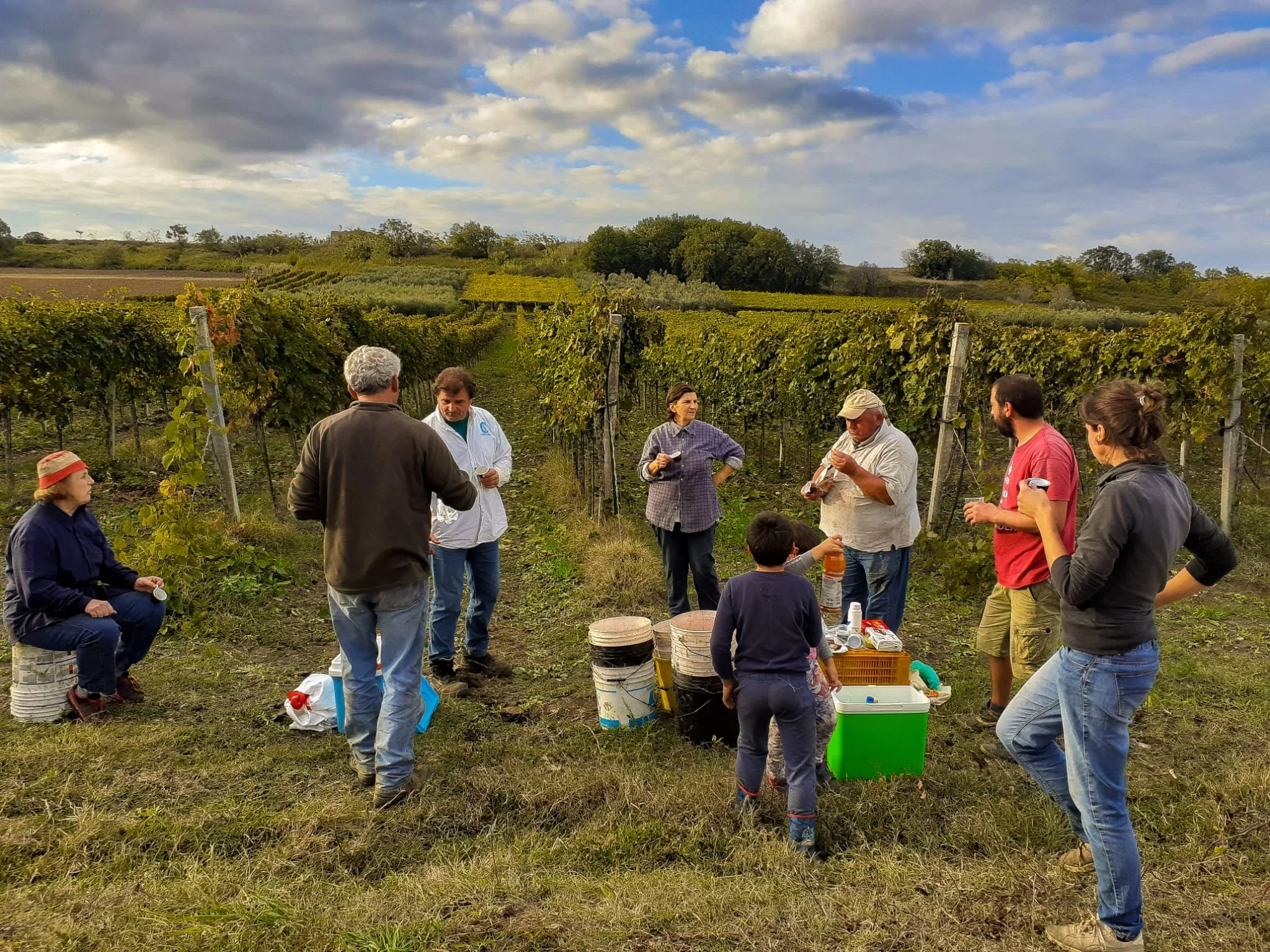 WhatsApp Image 2020-10-20 at 12.54.19.jpeg