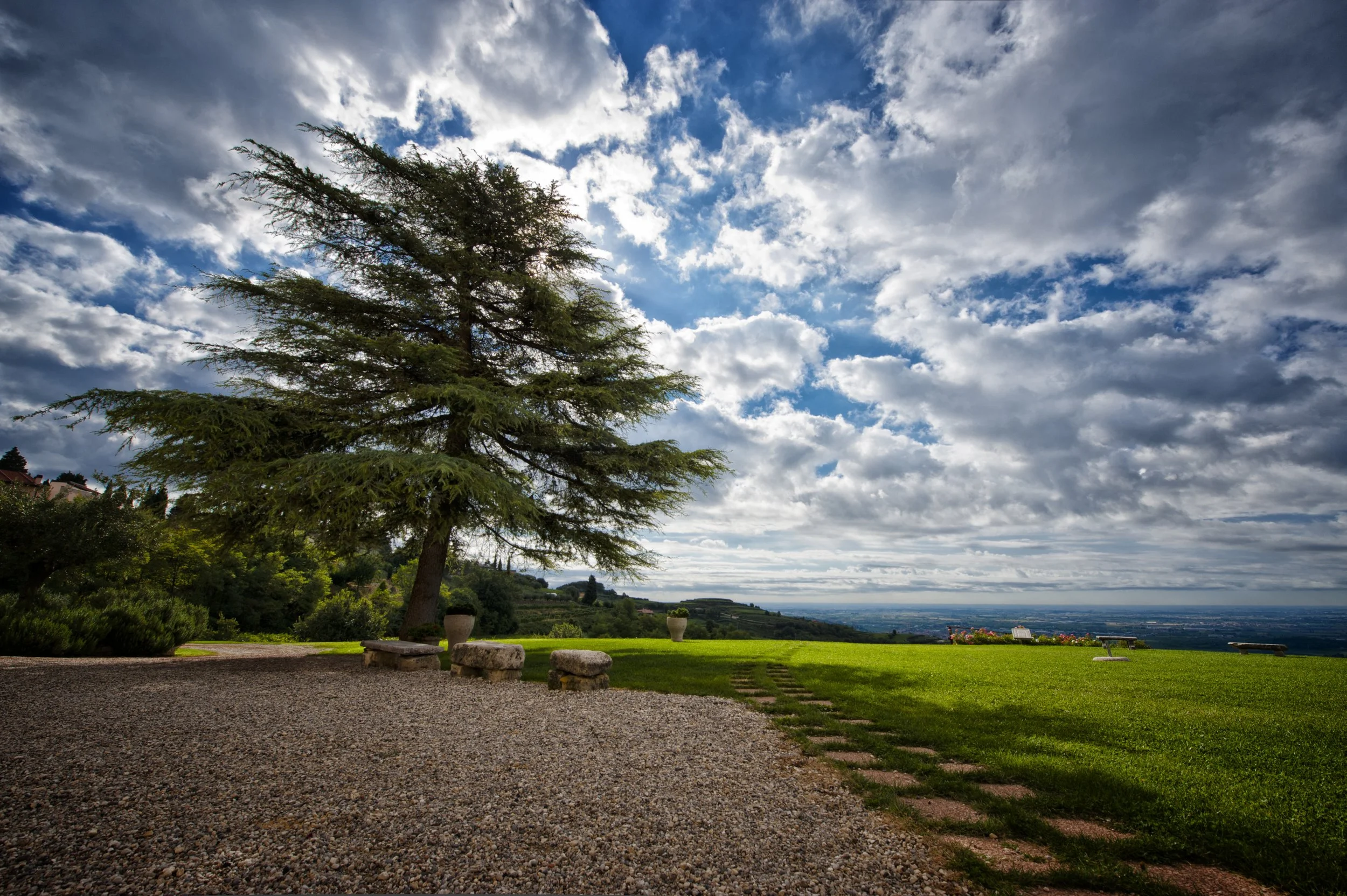 Coffele - Estate view.jpg