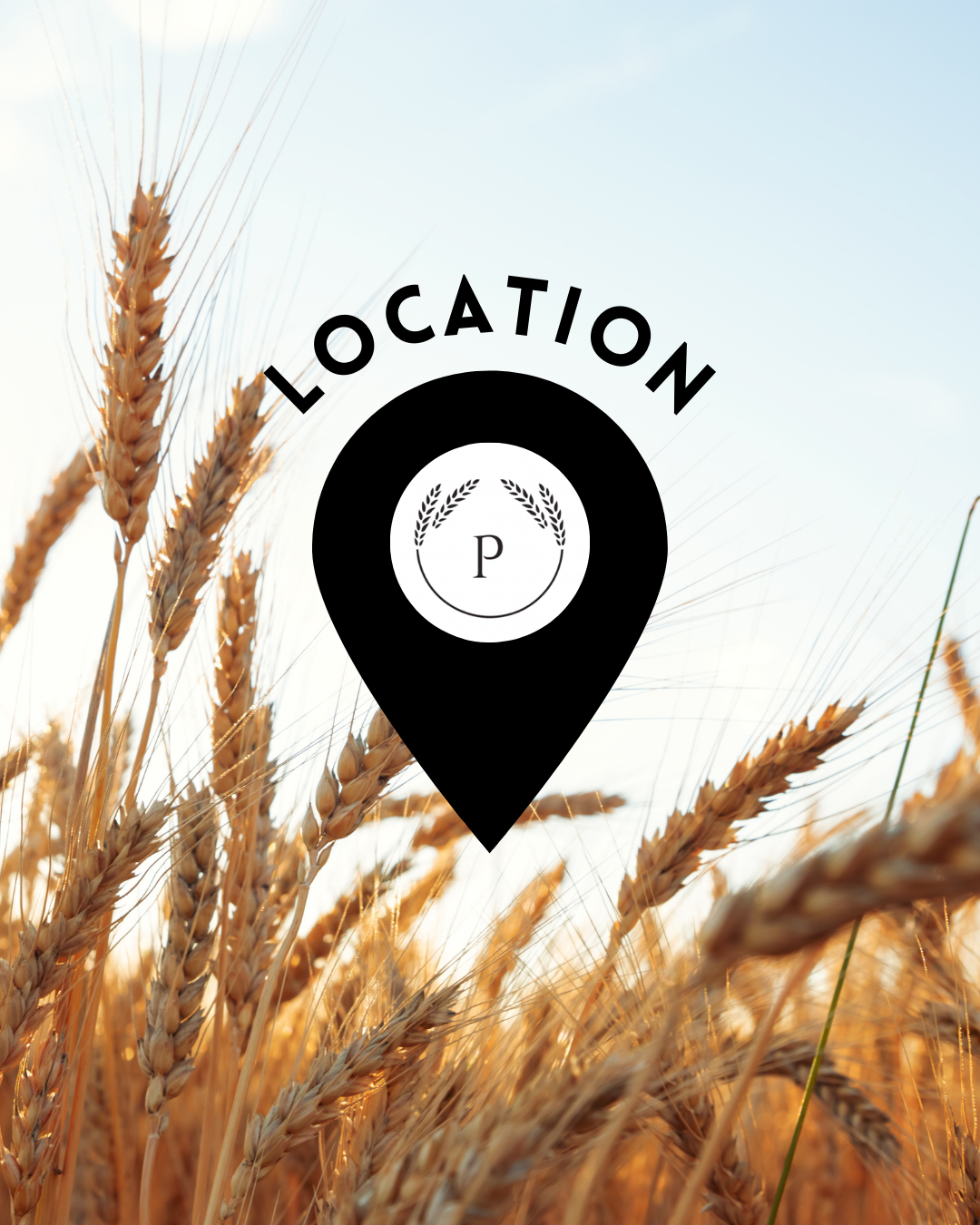 Wheat field with a location pin overlay labeled 'Location' and a small emblem with a 'P' in the center surrounded by wheat illustrations.