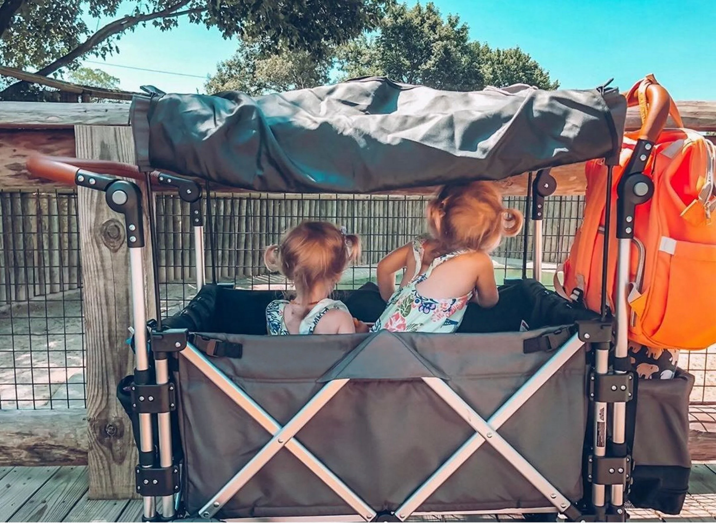 Venues, Zoos, Theme Parks — Petit Wagon