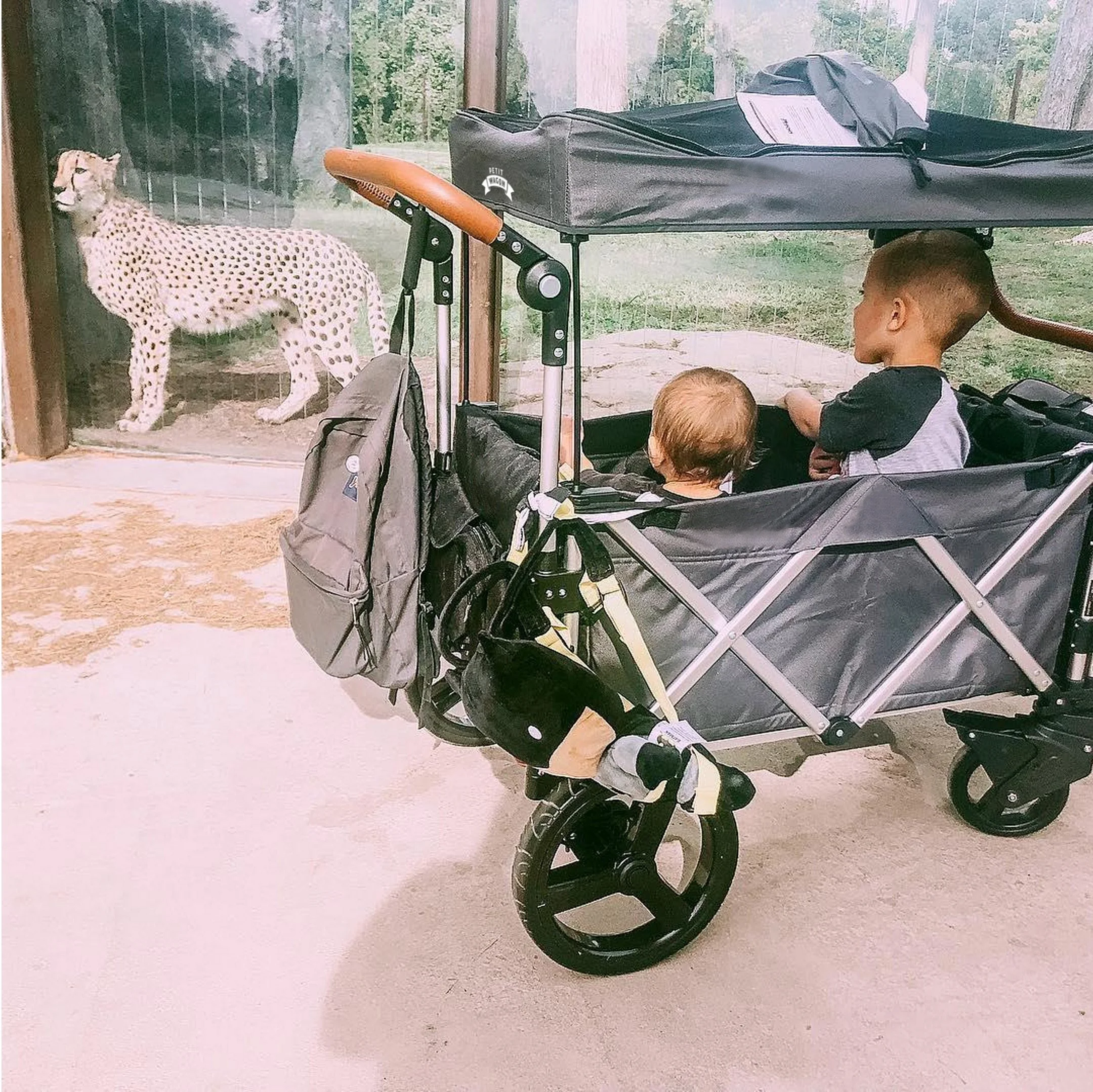 Venues, Zoos, Theme Parks — Petit Wagon