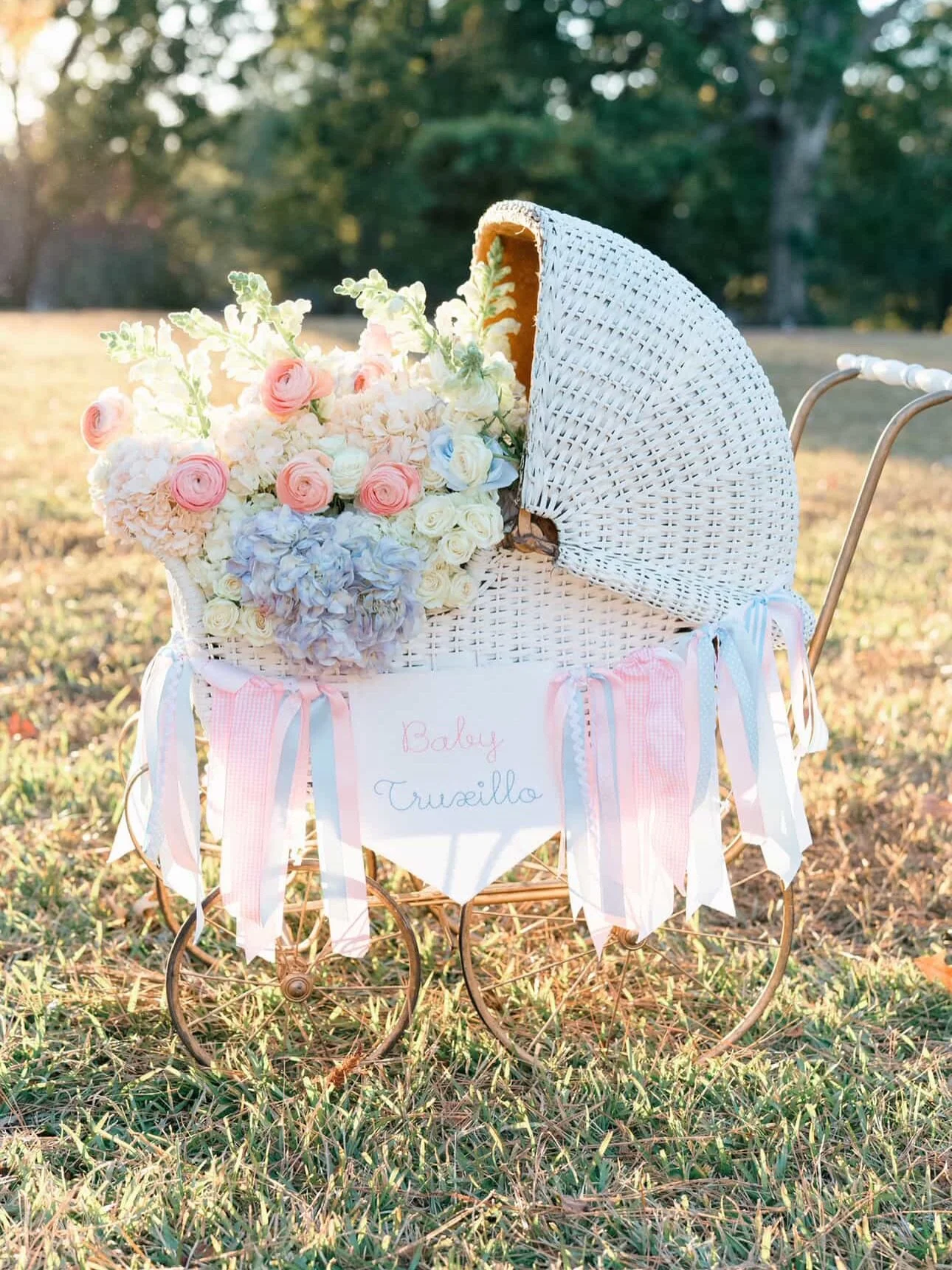 Baby Shower carriage rental Atlanta georgia