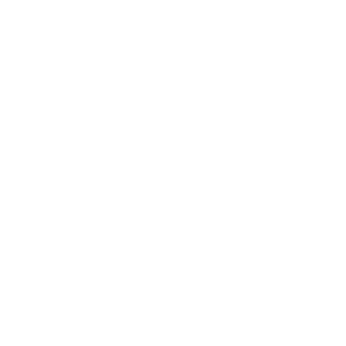 Full-service party decor Cumming GA