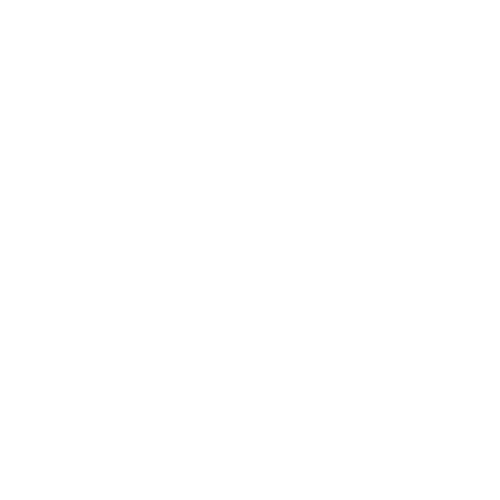 Bounce house rental with balloons north georgia